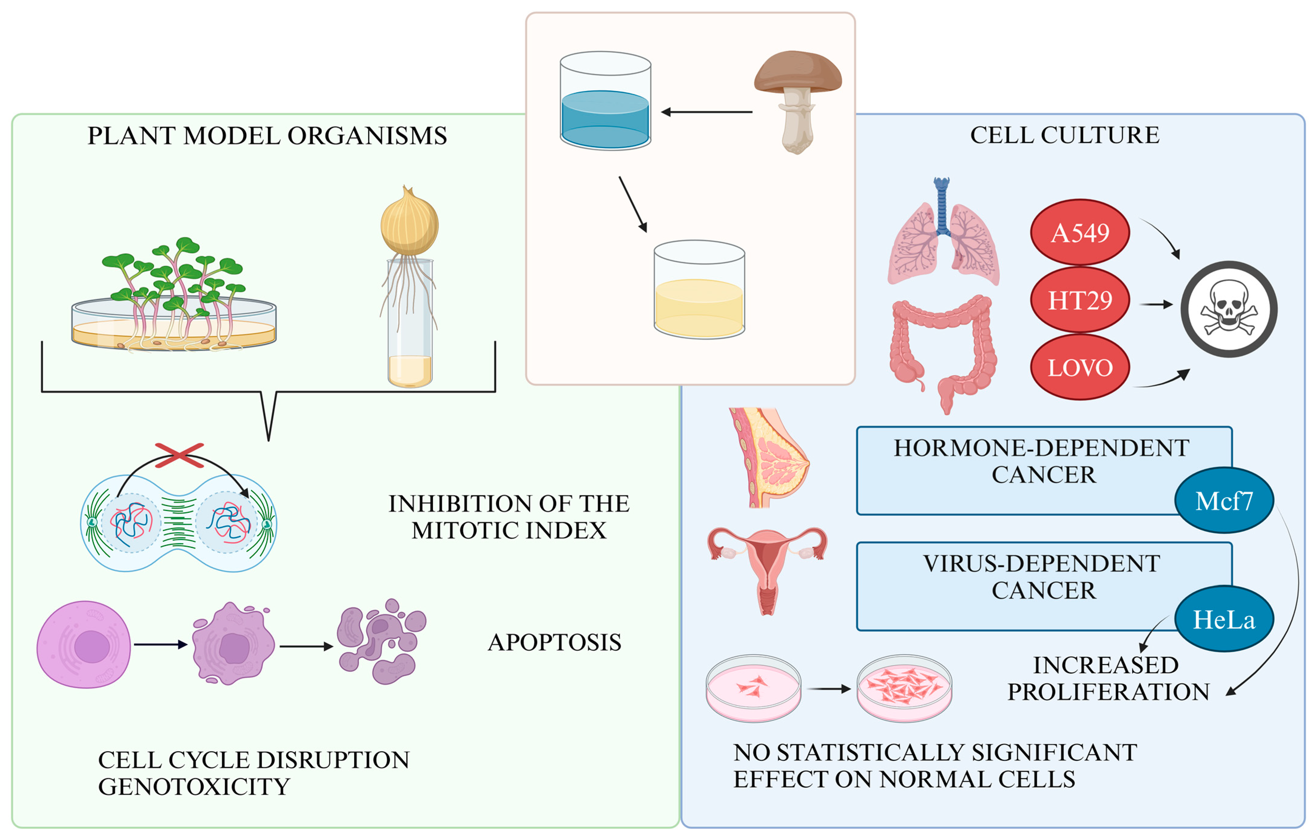 Nutrients 16 03316 g010