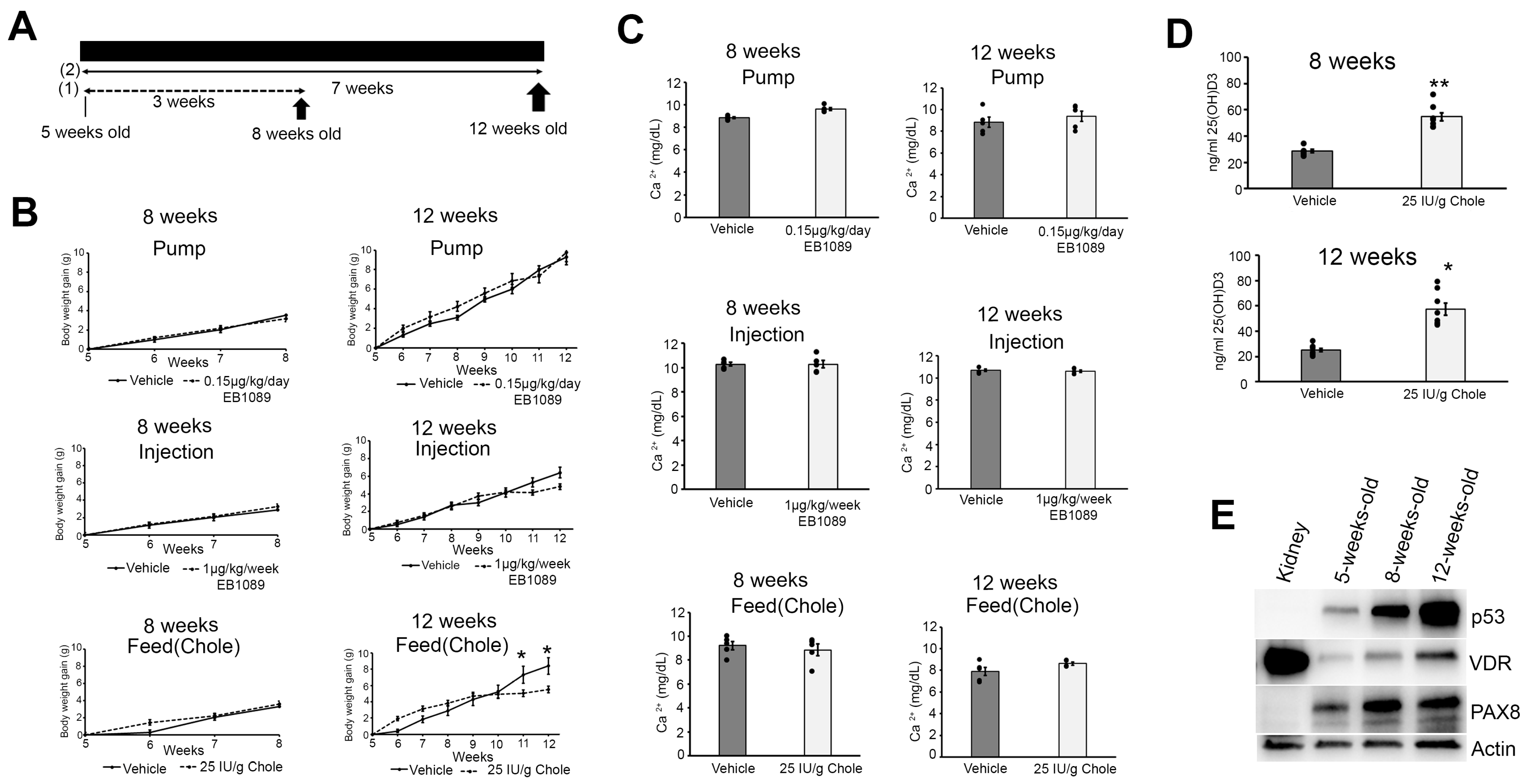 Nutrients 16 03318 g001 Nutrients 16 03318 g001