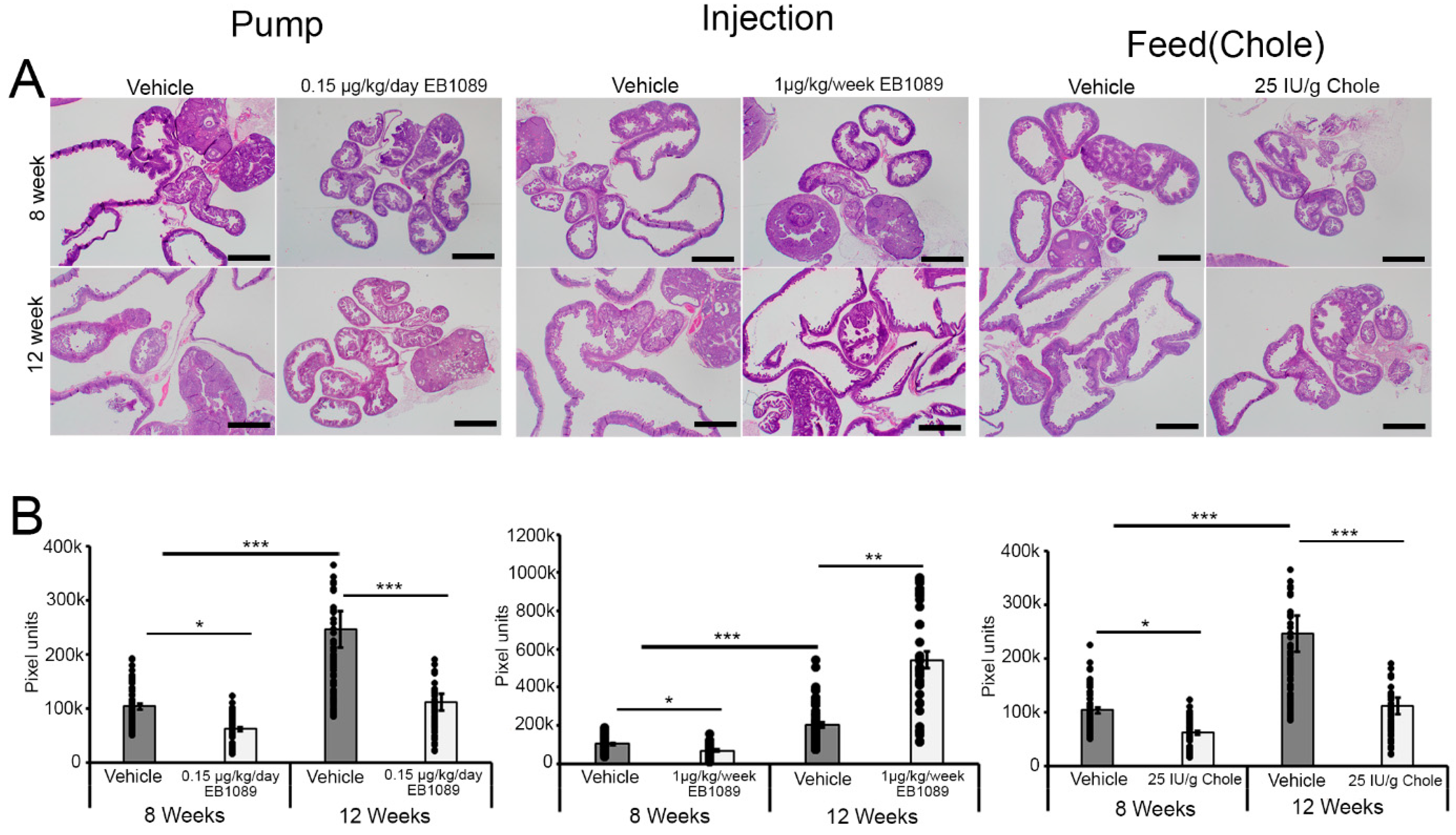 Nutrients 16 03318 g002 Nutrients 16 03318 g002