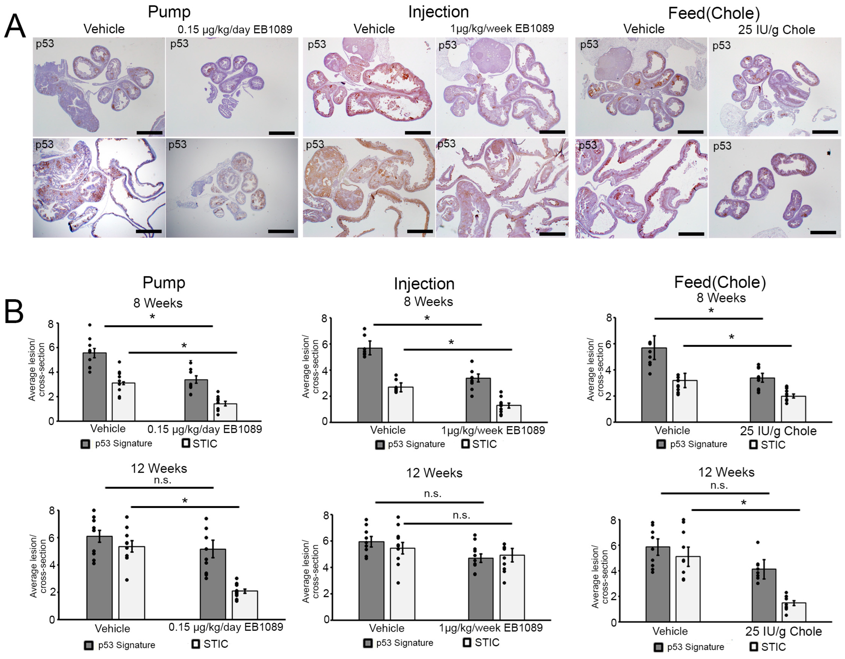 Nutrients 16 03318 g003 Nutrients 16 03318 g003
