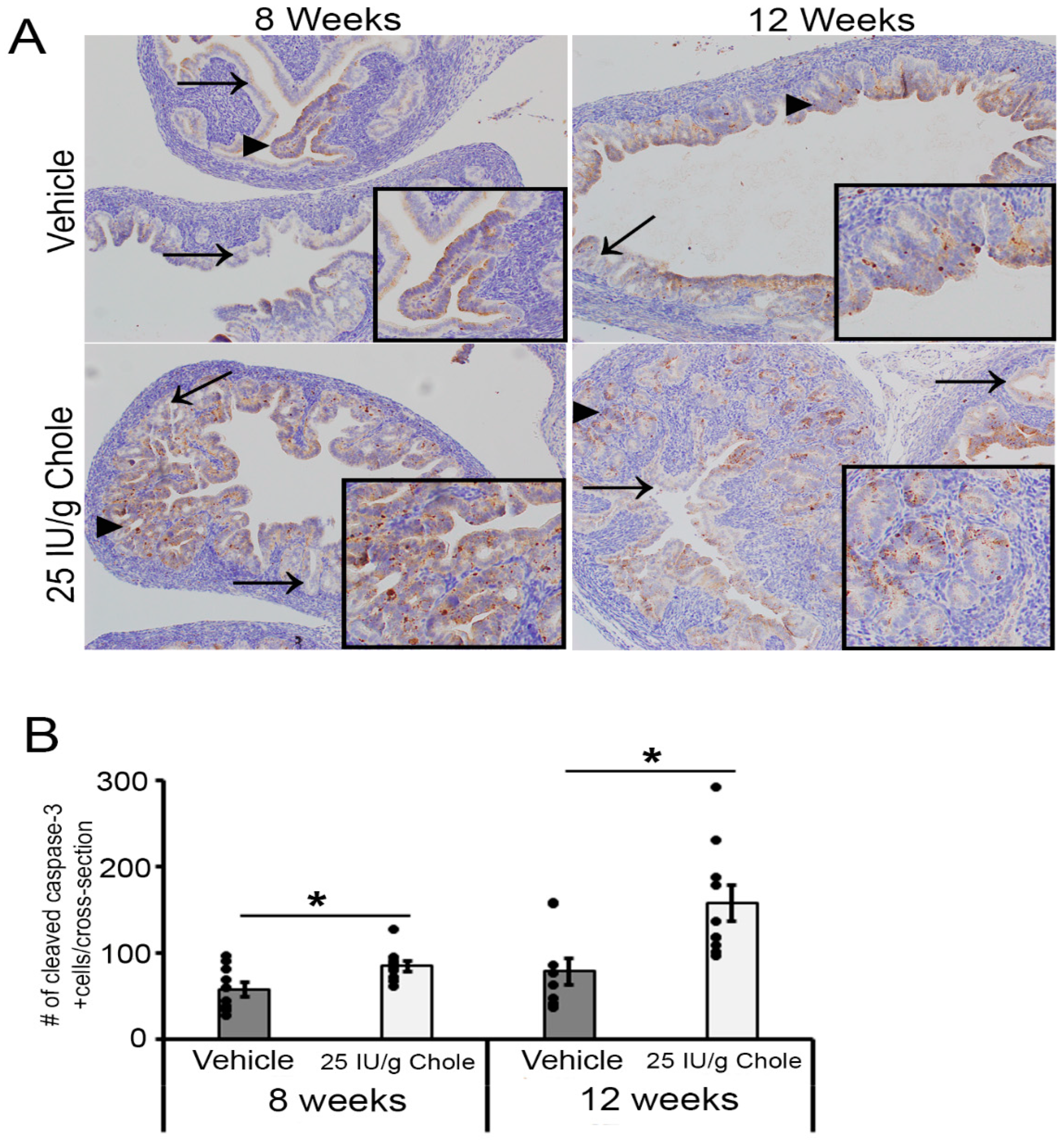 Nutrients 16 03318 g005 Nutrients 16 03318 g005