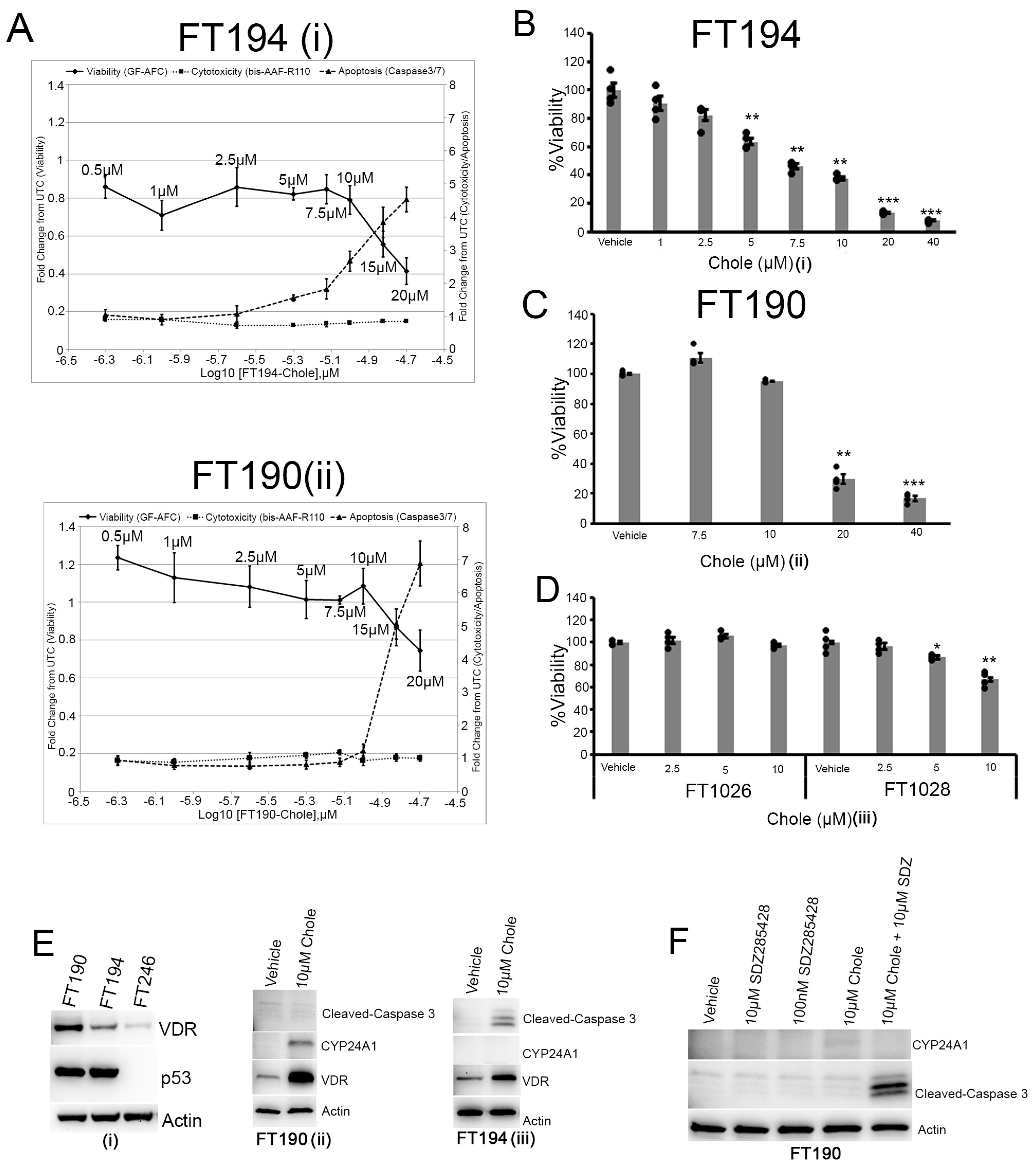 Nutrients 16 03318 g006 Nutrients 16 03318 g006