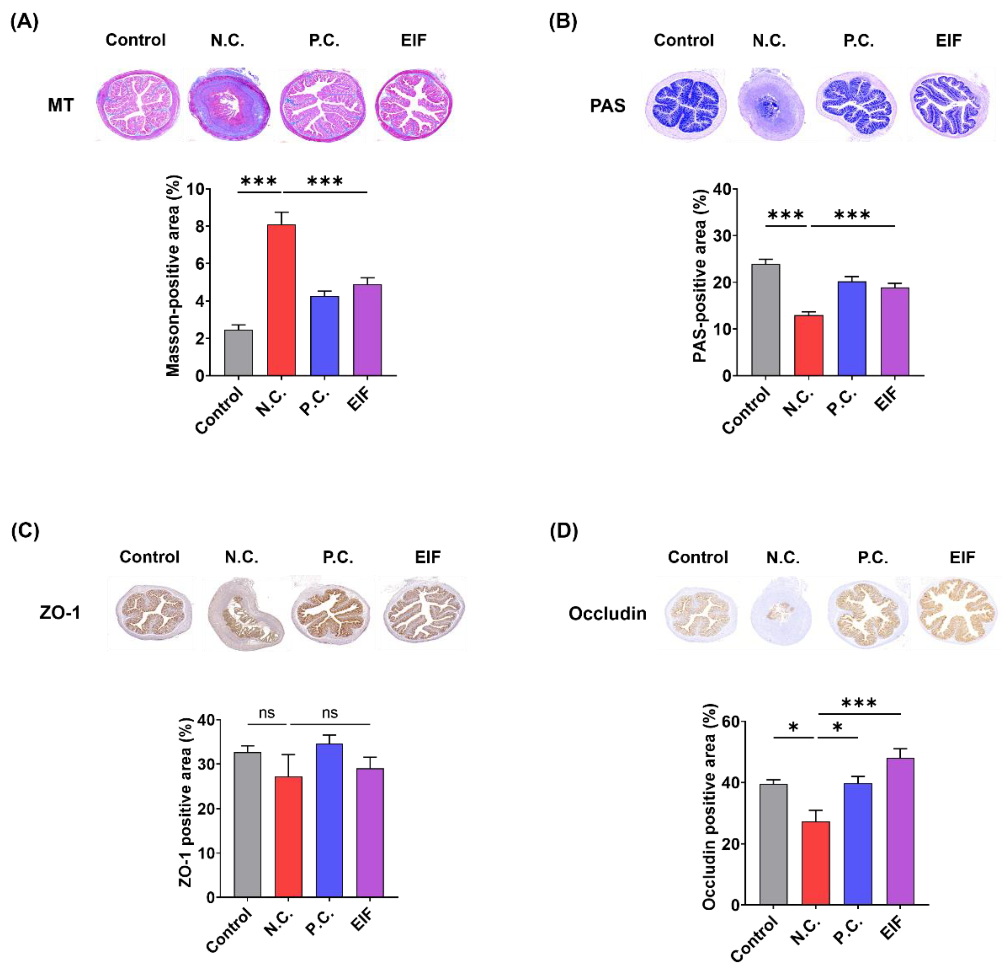 Nutrients 16 03323 g002