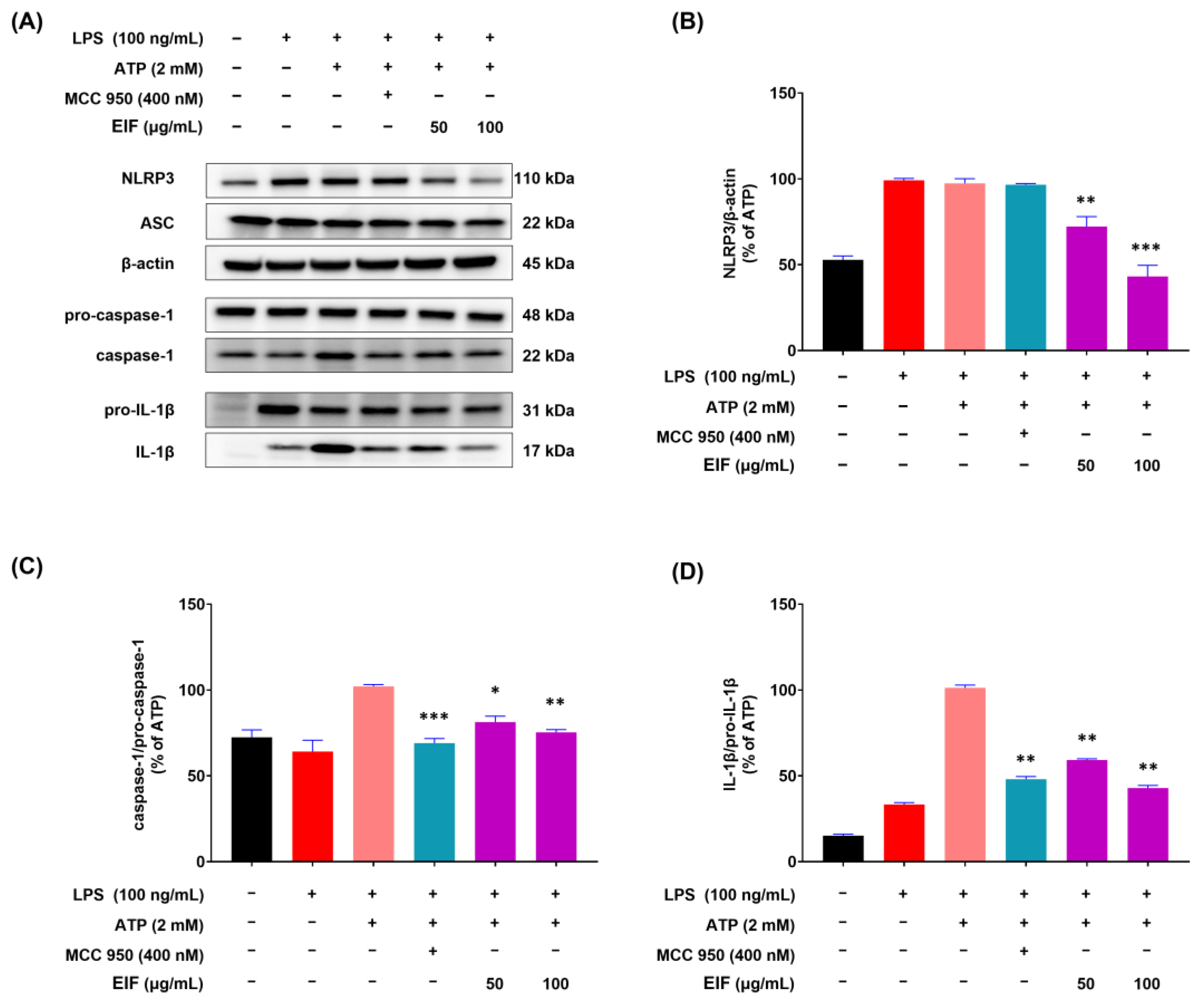 Nutrients 16 03323 g005
