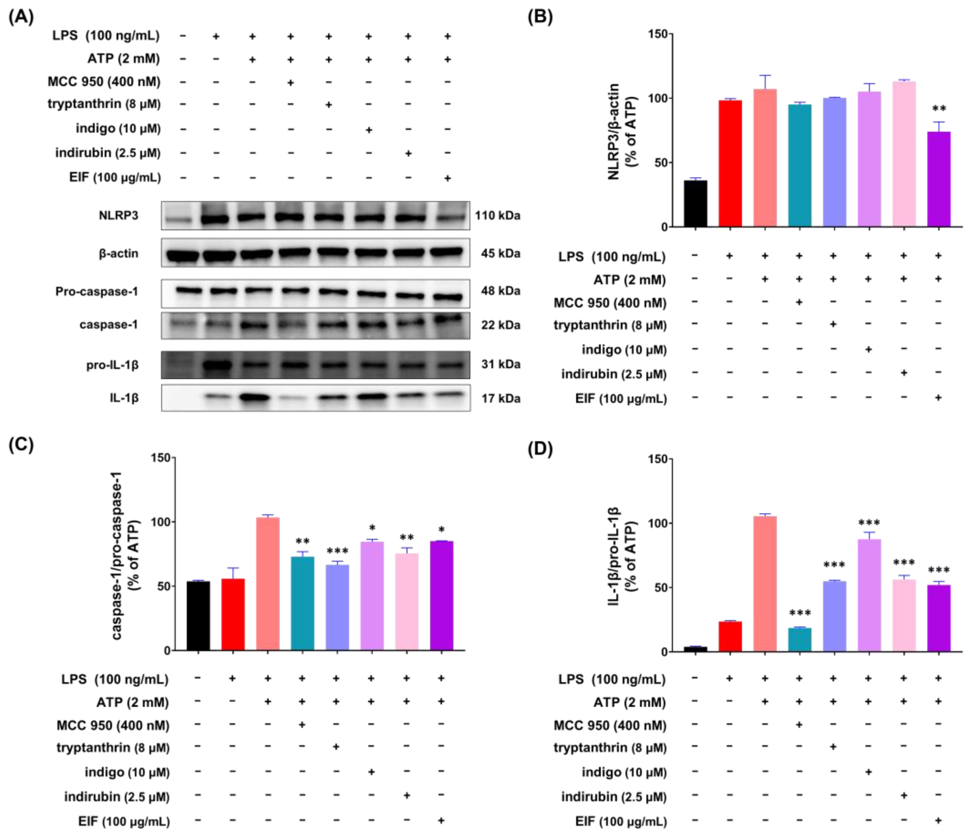 Nutrients 16 03323 g007