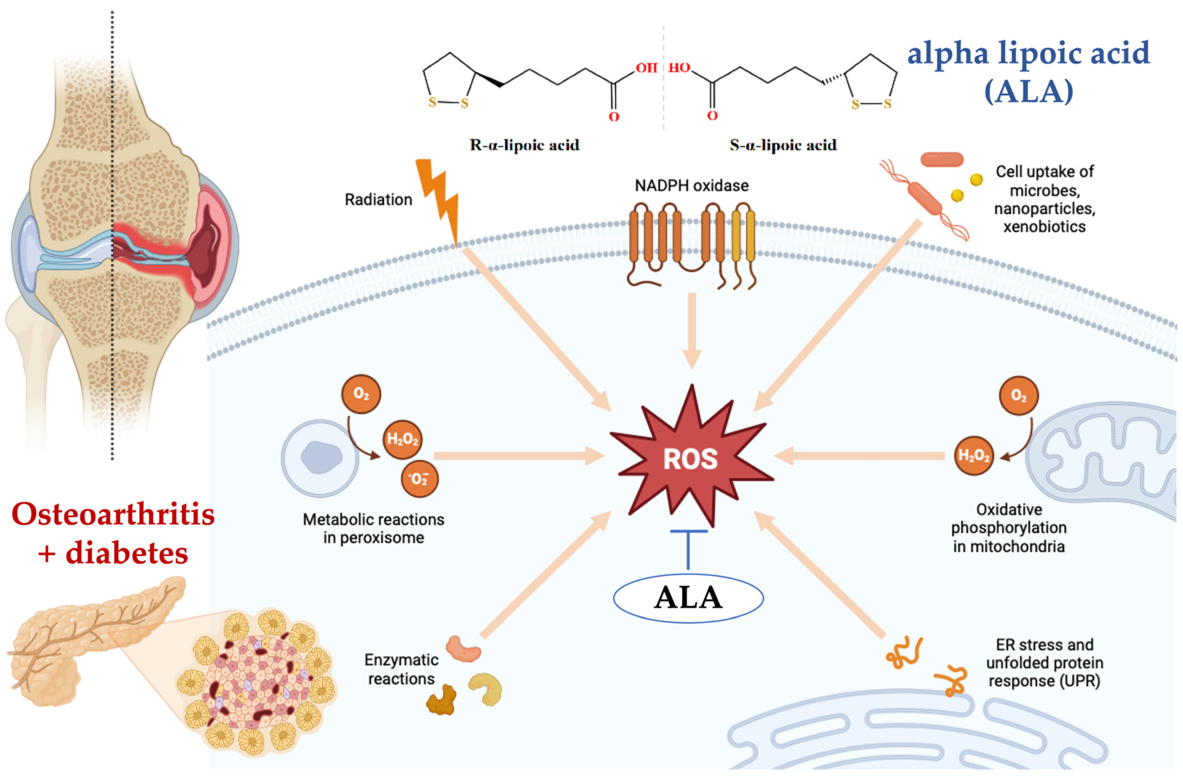Nutrients 16 03349 g005