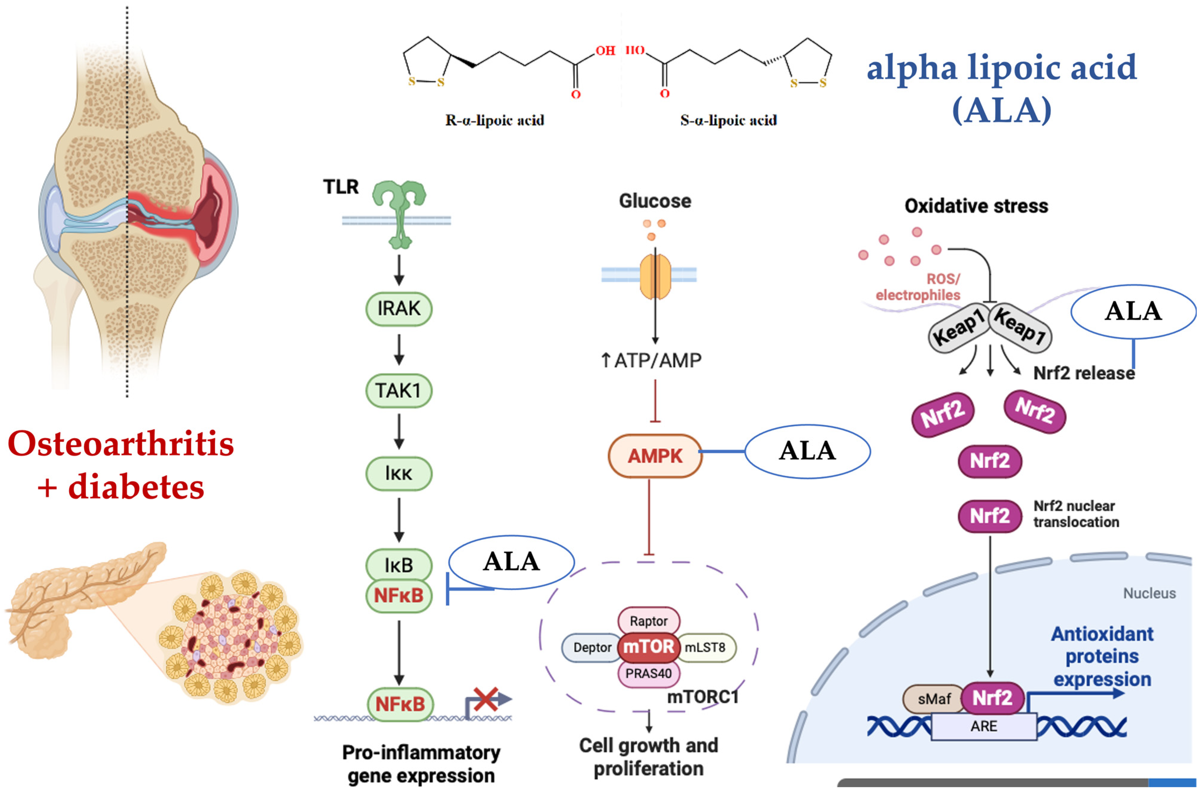 Nutrients 16 03349 g006