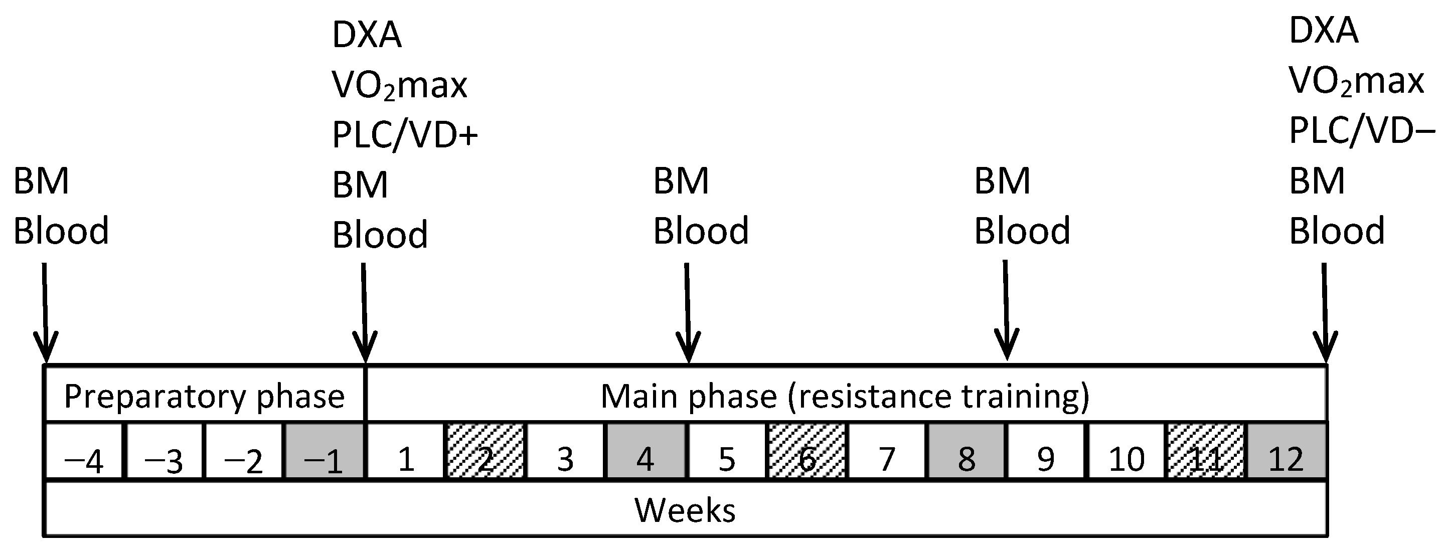 Nutrients 16 03356 g001