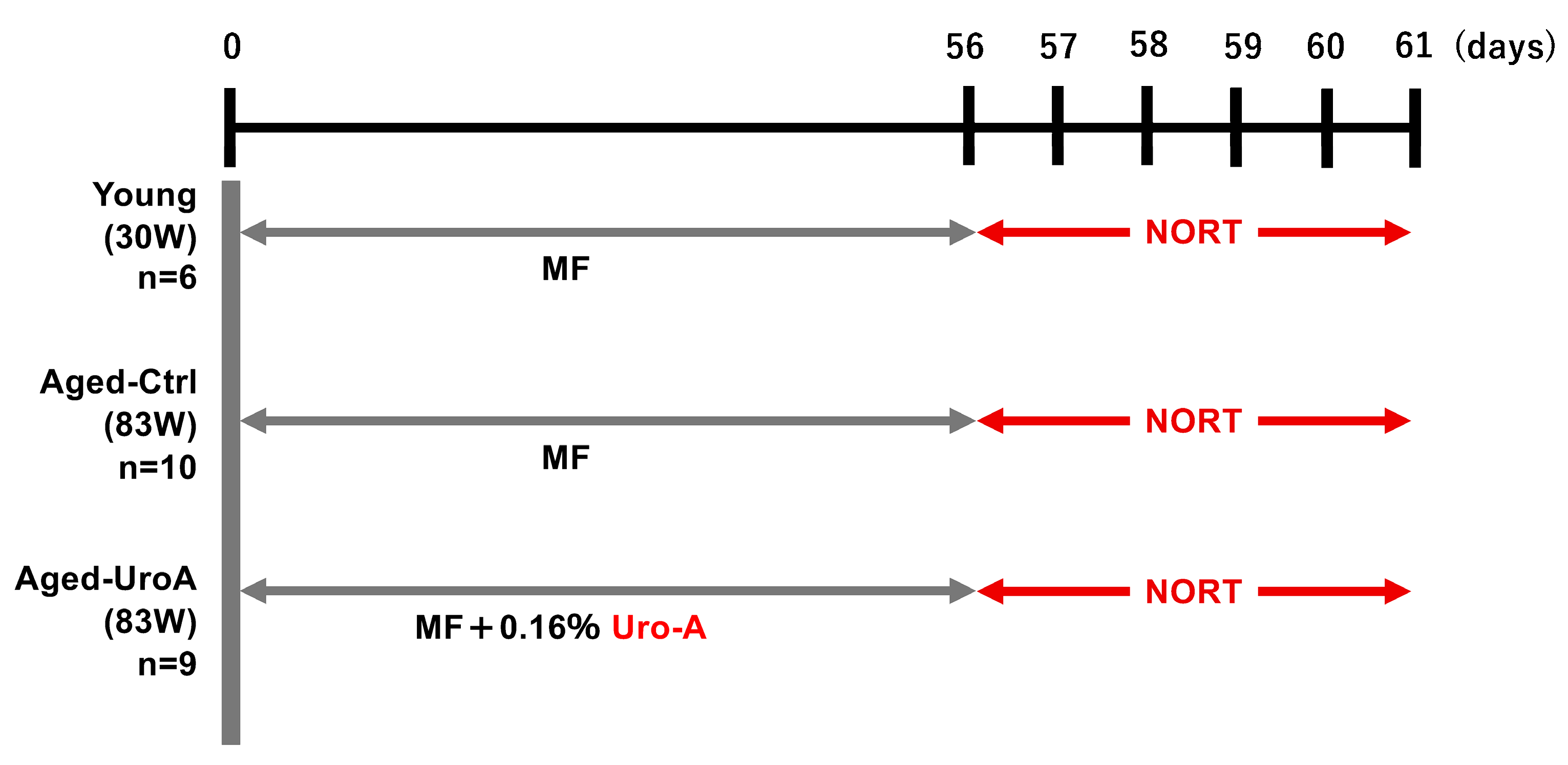 Nutrients 16 03369 g001