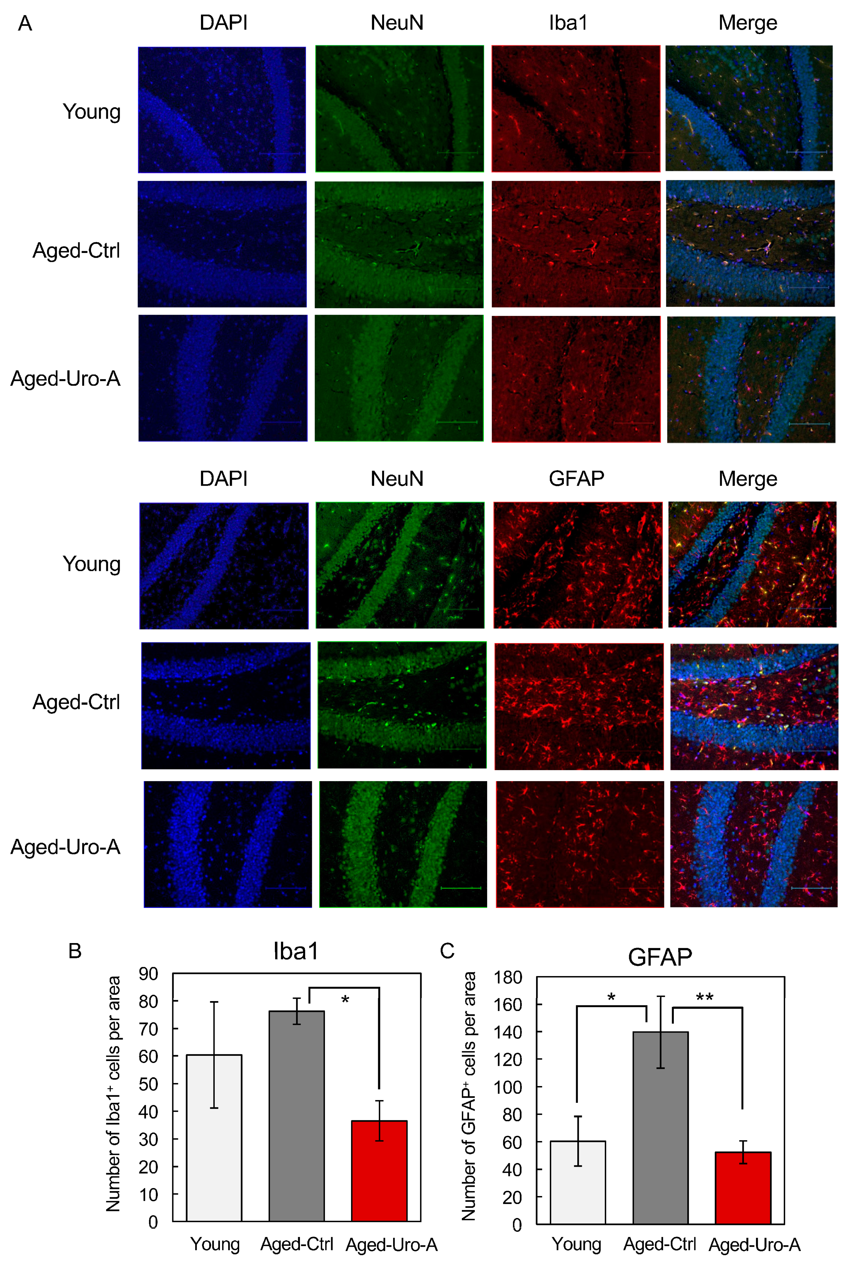 Nutrients 16 03369 g003