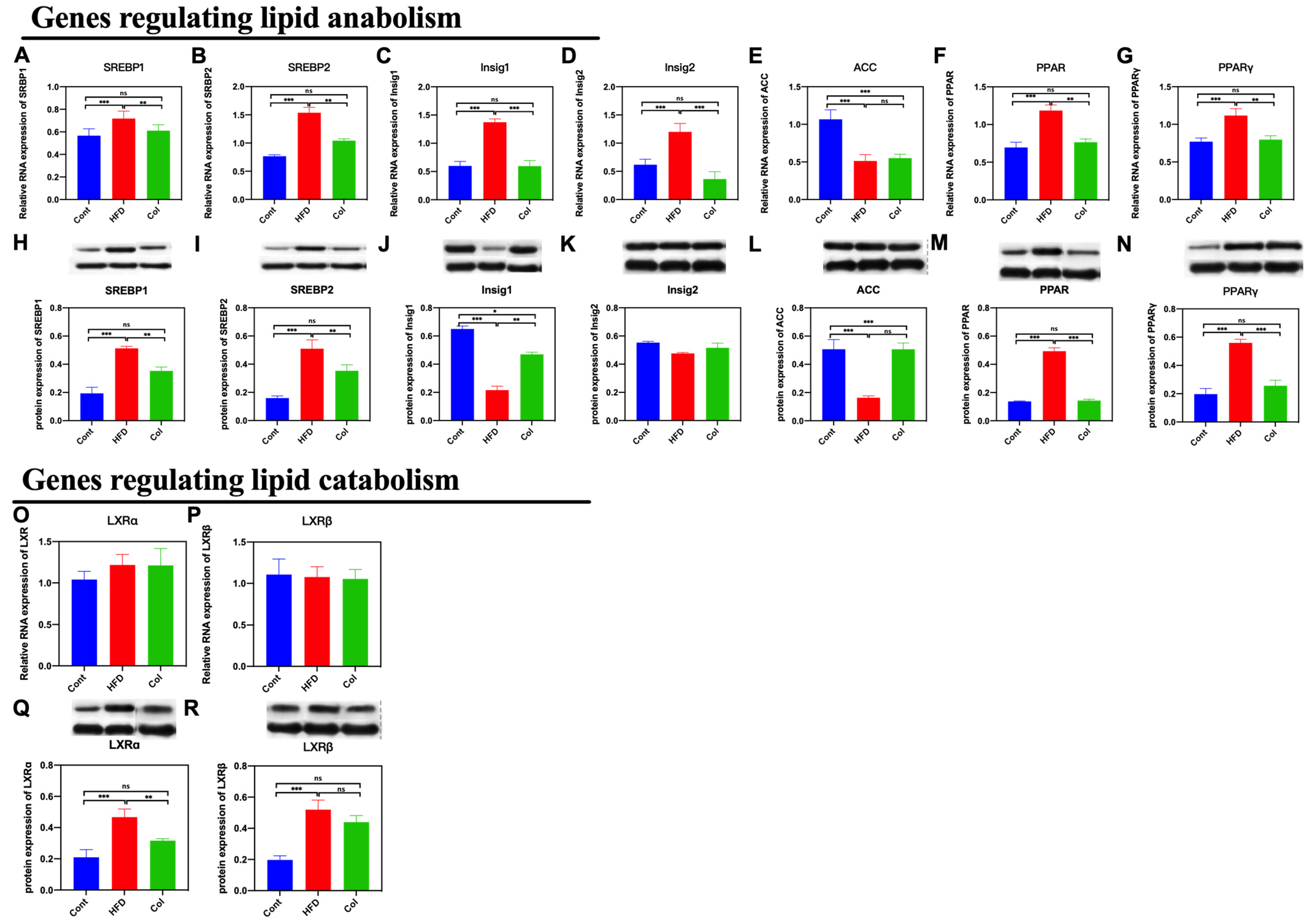 Nutrients 16 03379 g005