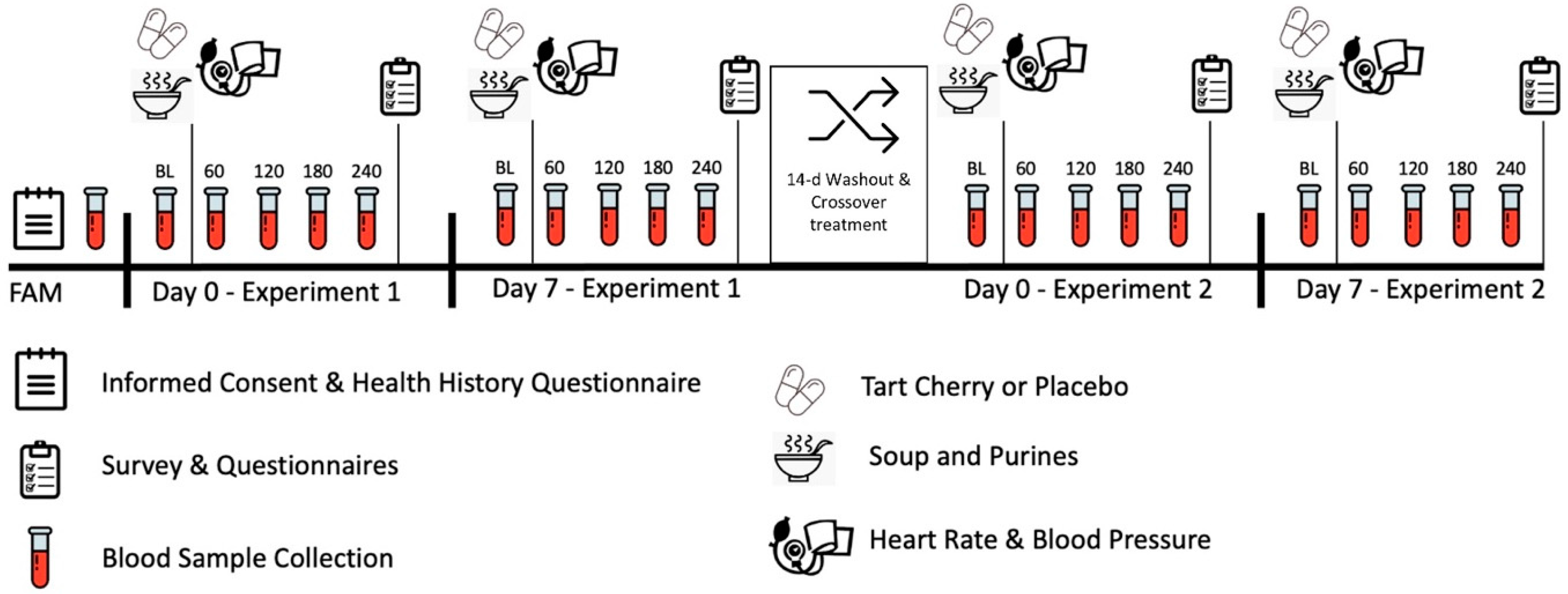 Nutrients 16 03391 g001