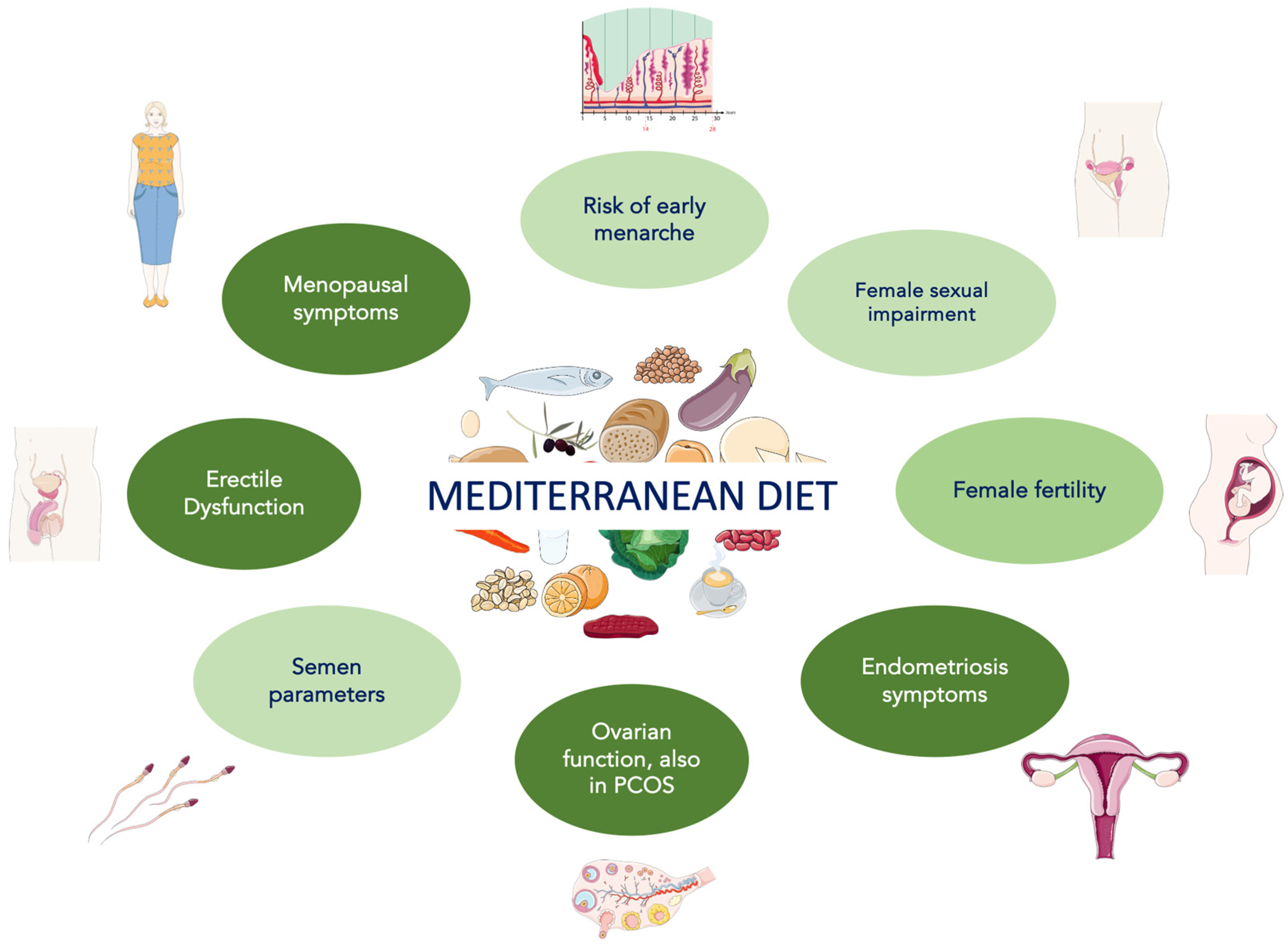 Nutrients 16 03397 g002