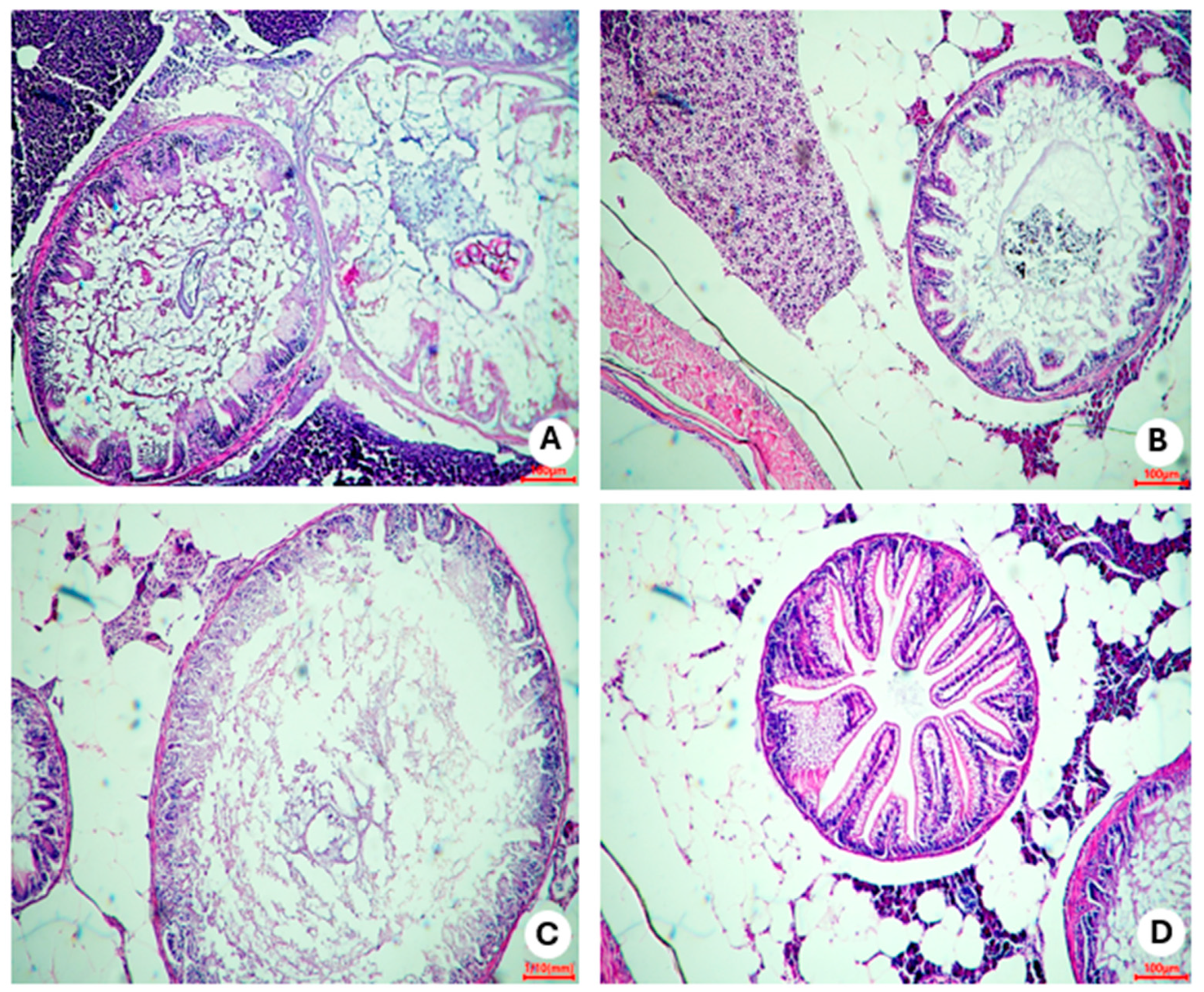 Nutrients 16 03398 g014
