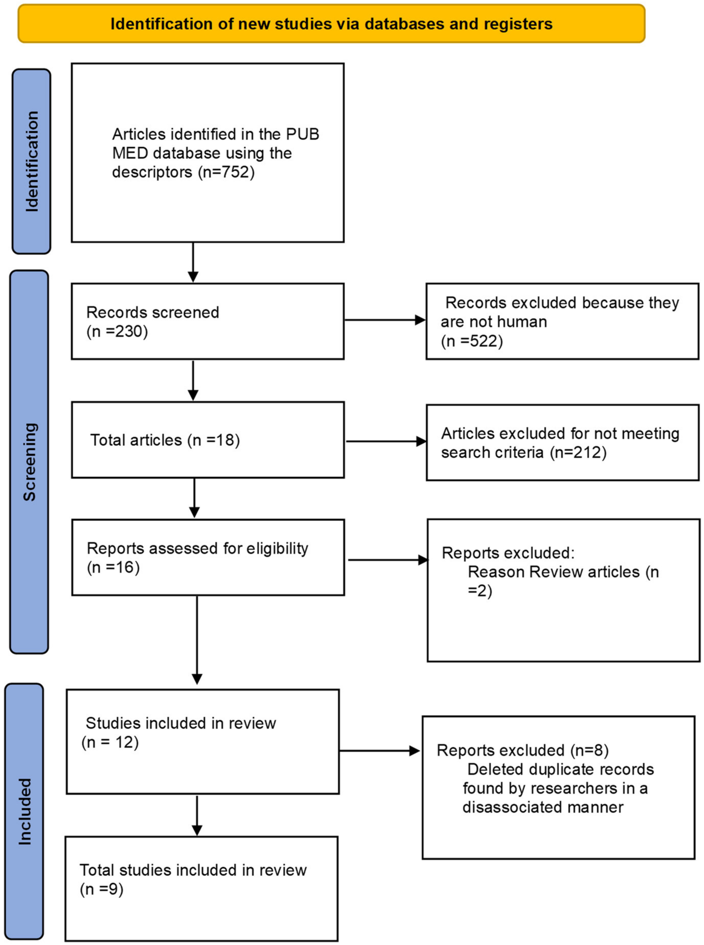 Nutrients 16 03403 g001