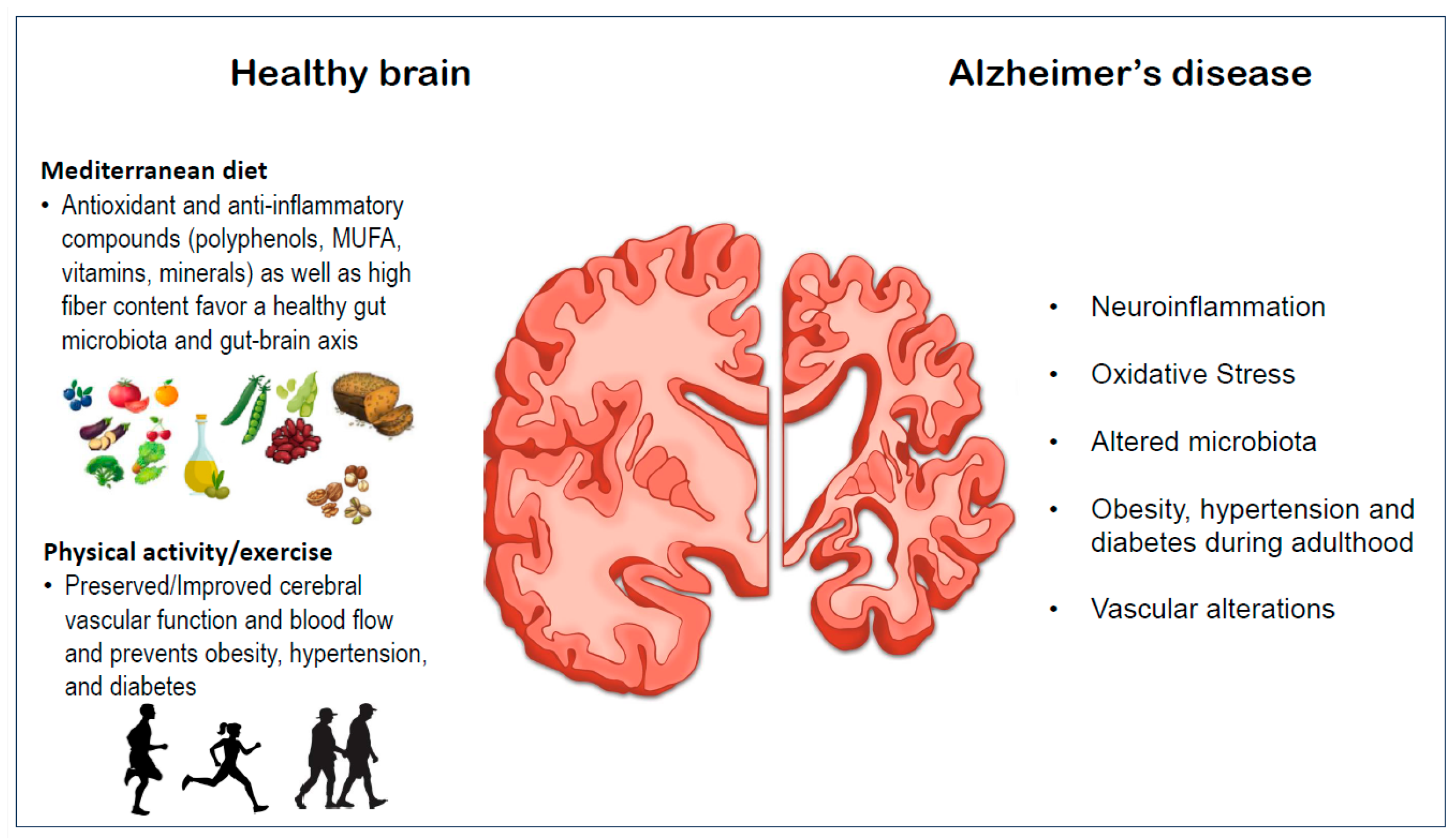 Nutrients 16 03421 g003
