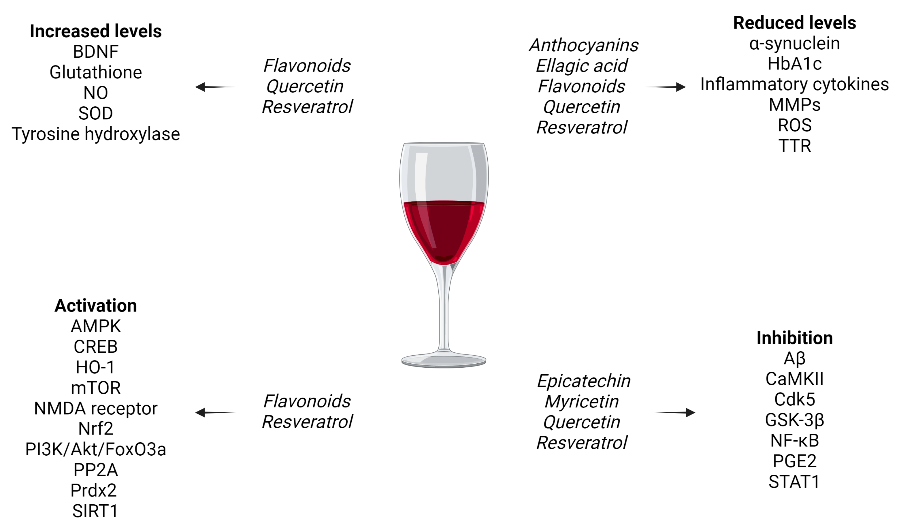 Nutrients 16 03431 g002