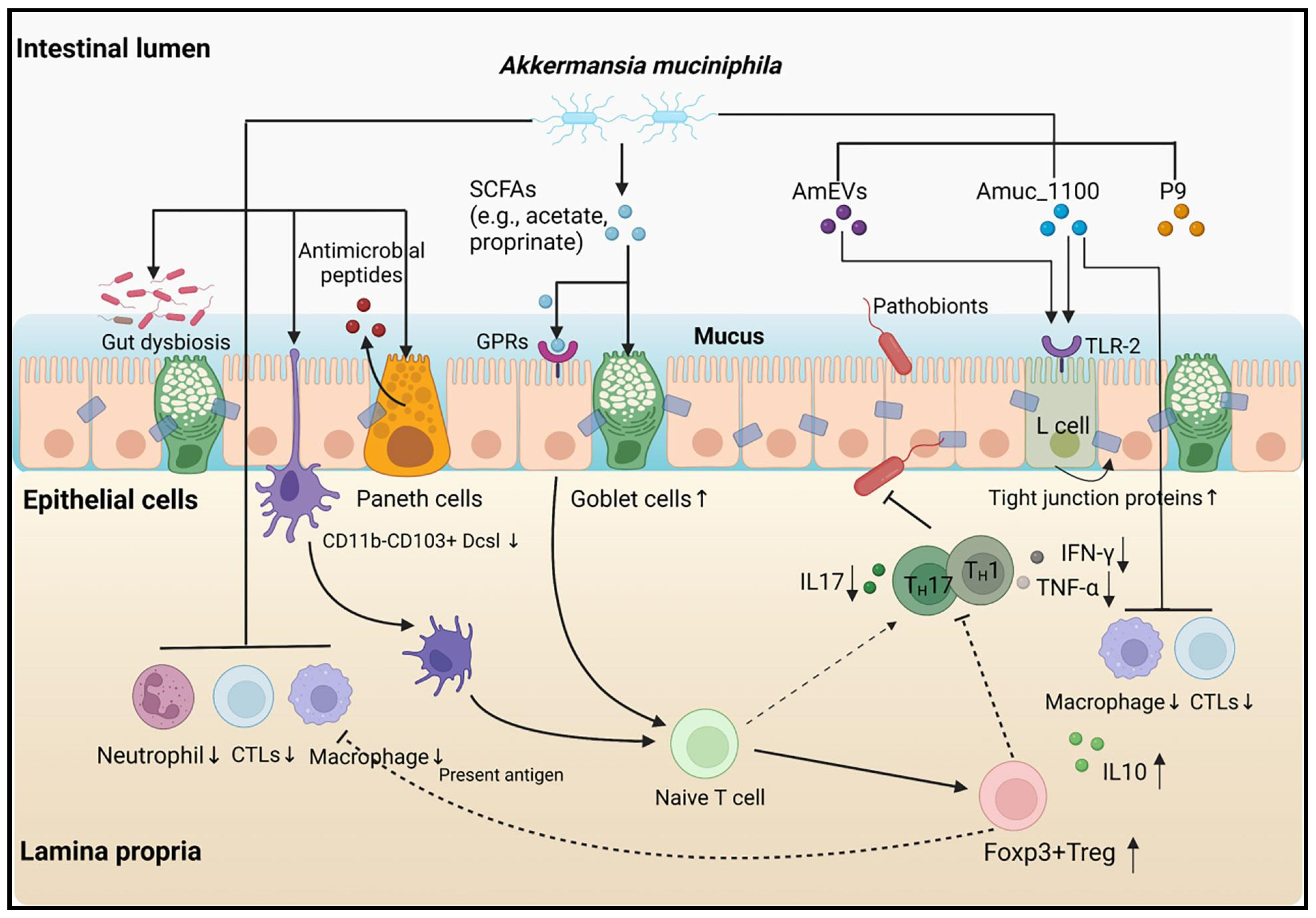 Nutrients 16 03440 g001