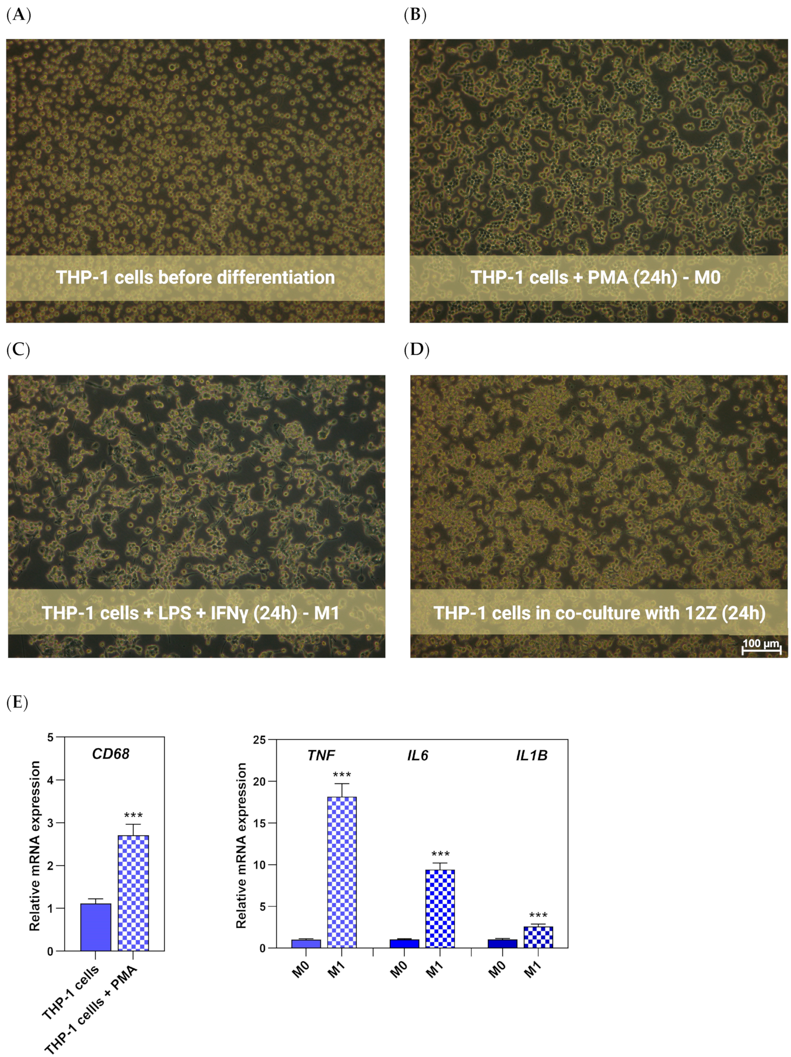 Nutrients 16 03483 g003 Nutrients 16 03483 g003