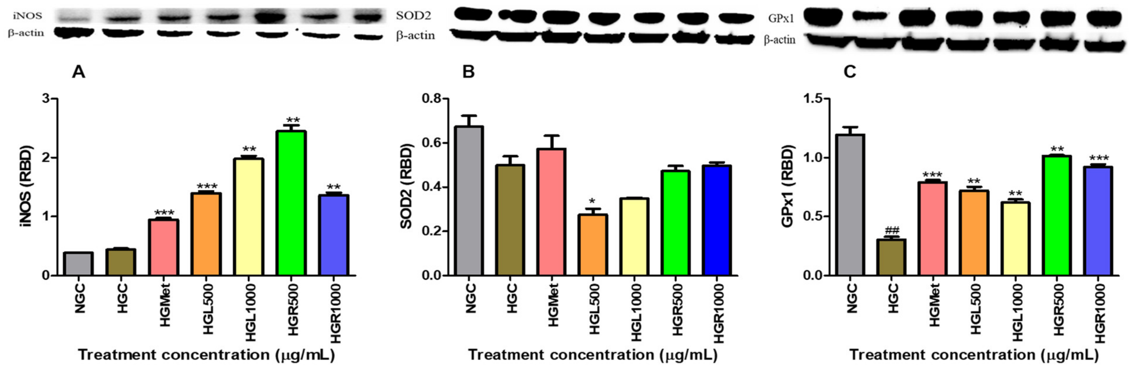 Nutrients 16 03496 g007 Nutrients 16 03496 g007