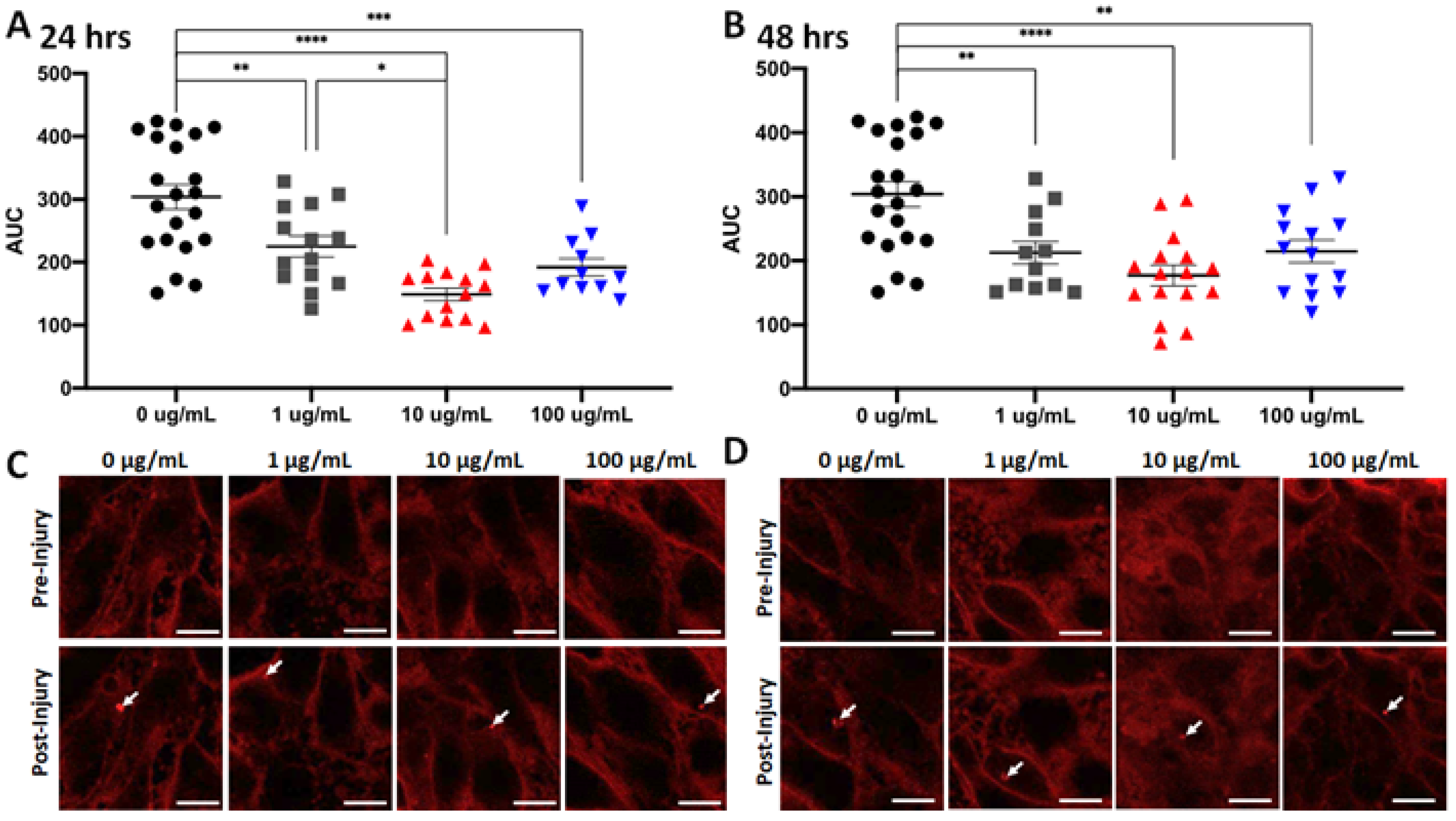 Nutrients 16 03511 g004
