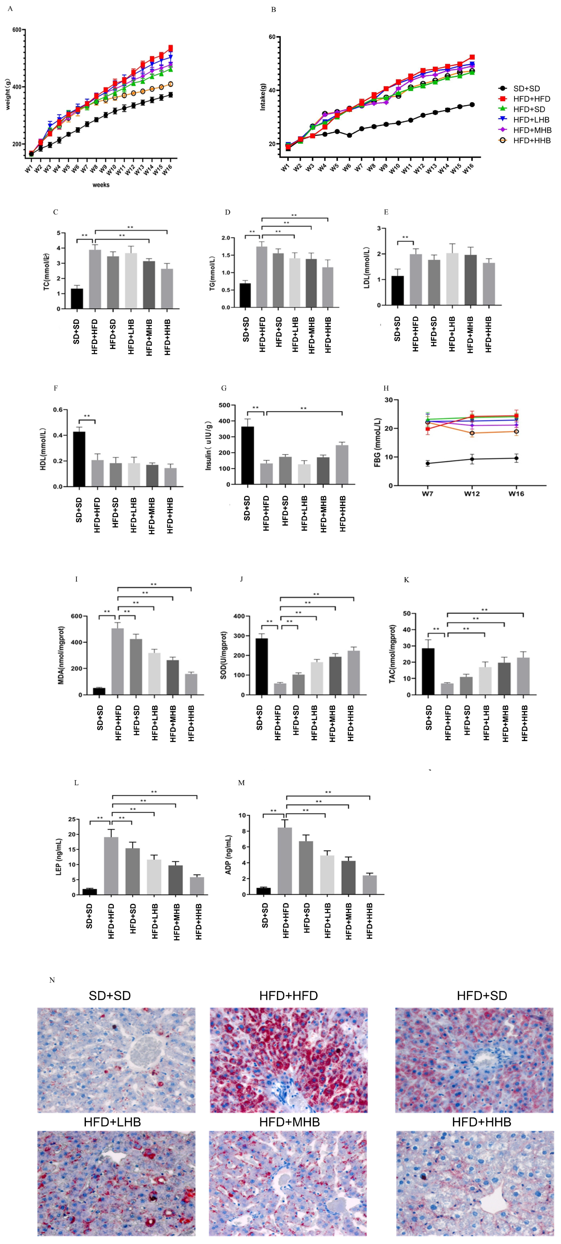 Nutrients 16 03518 g002