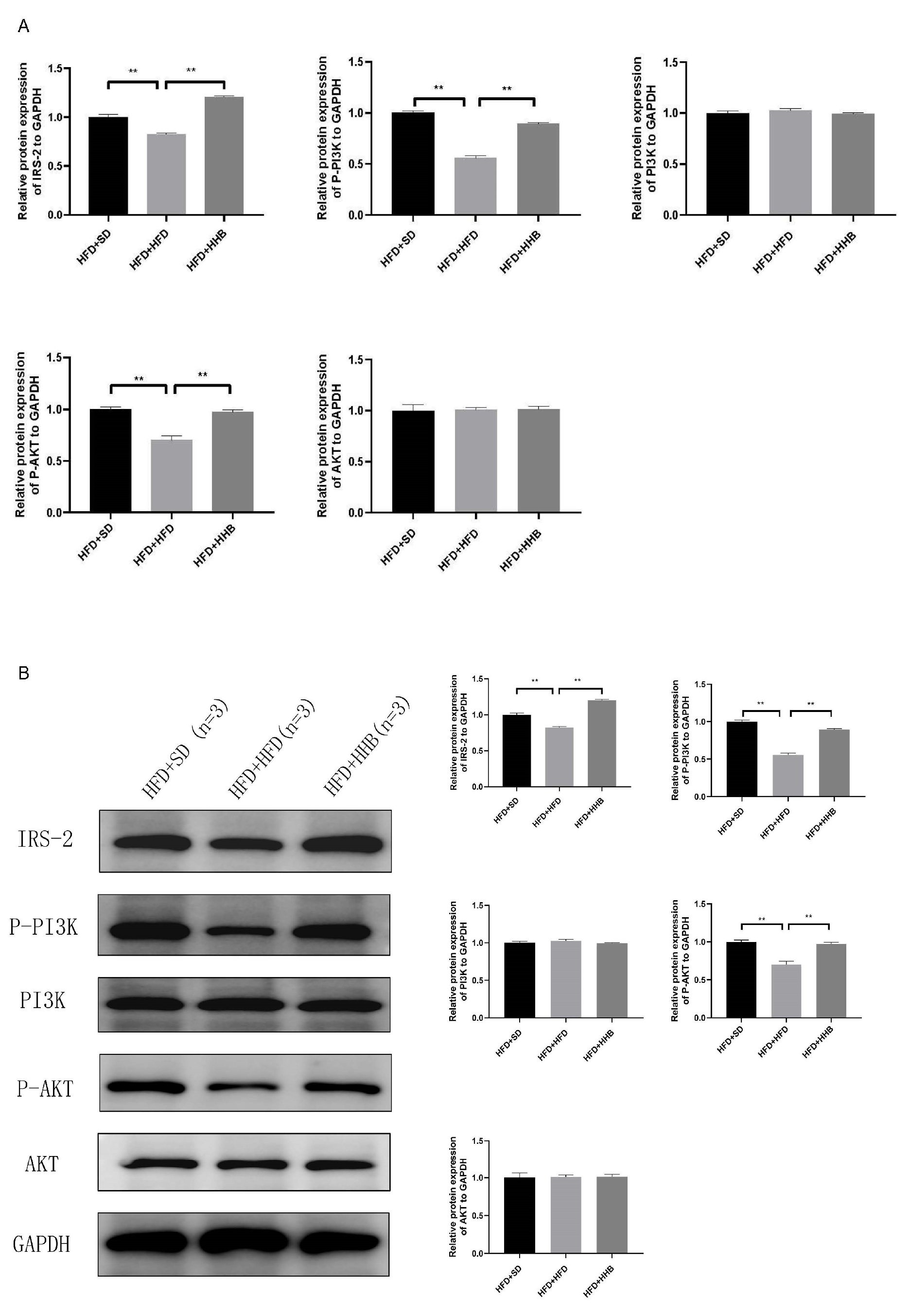 Nutrients 16 03518 g004