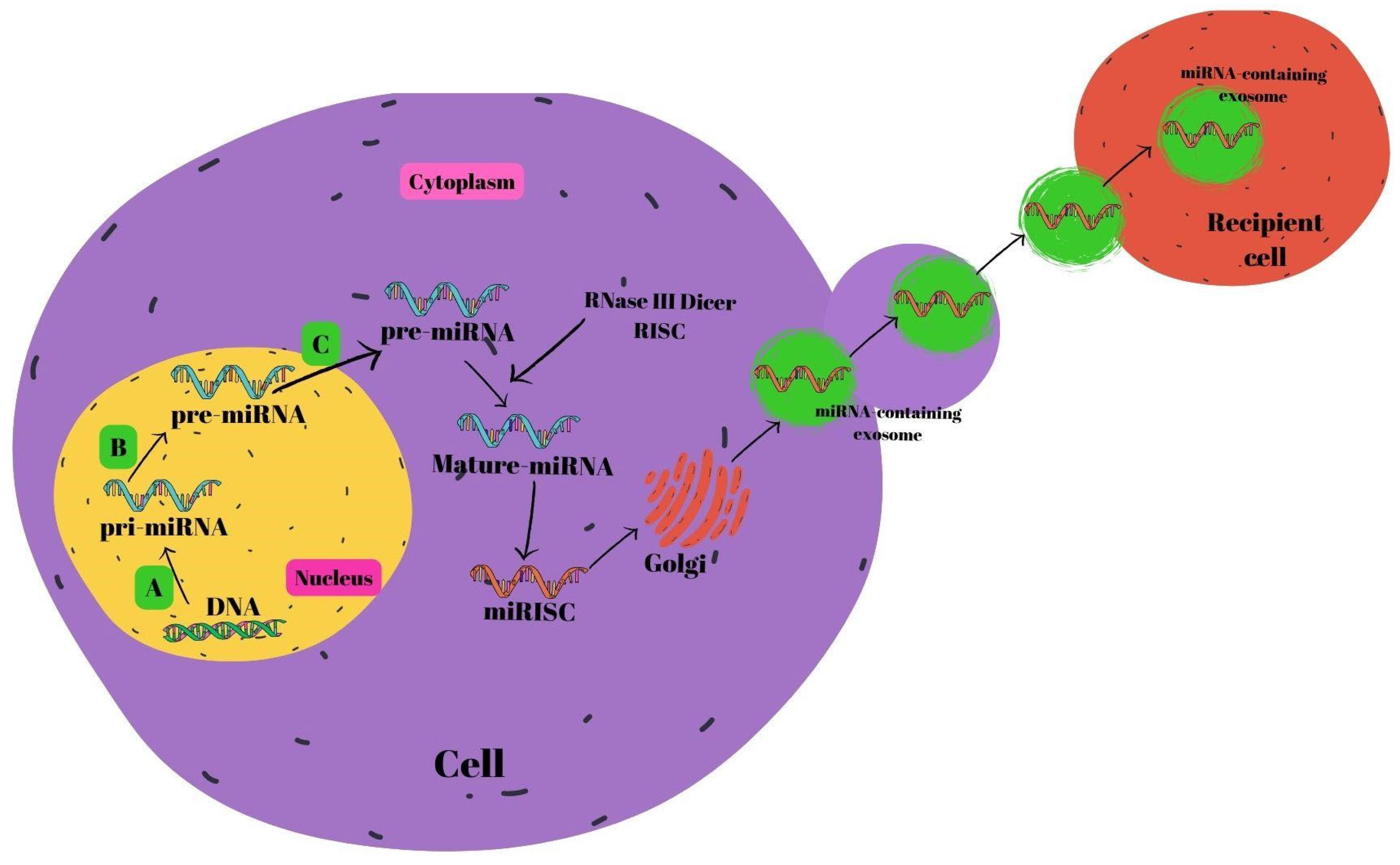 Nutrients 16 03519 g002