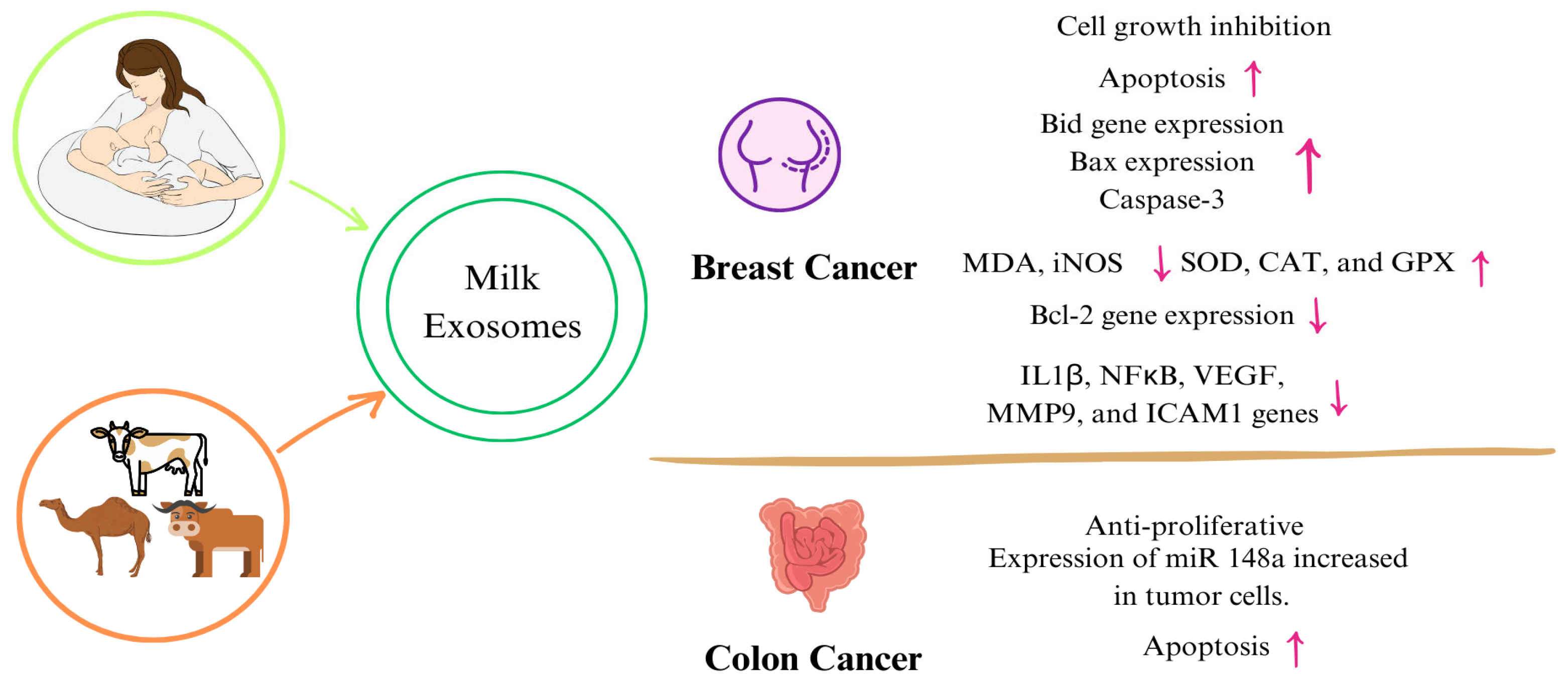 Nutrients 16 03519 g003