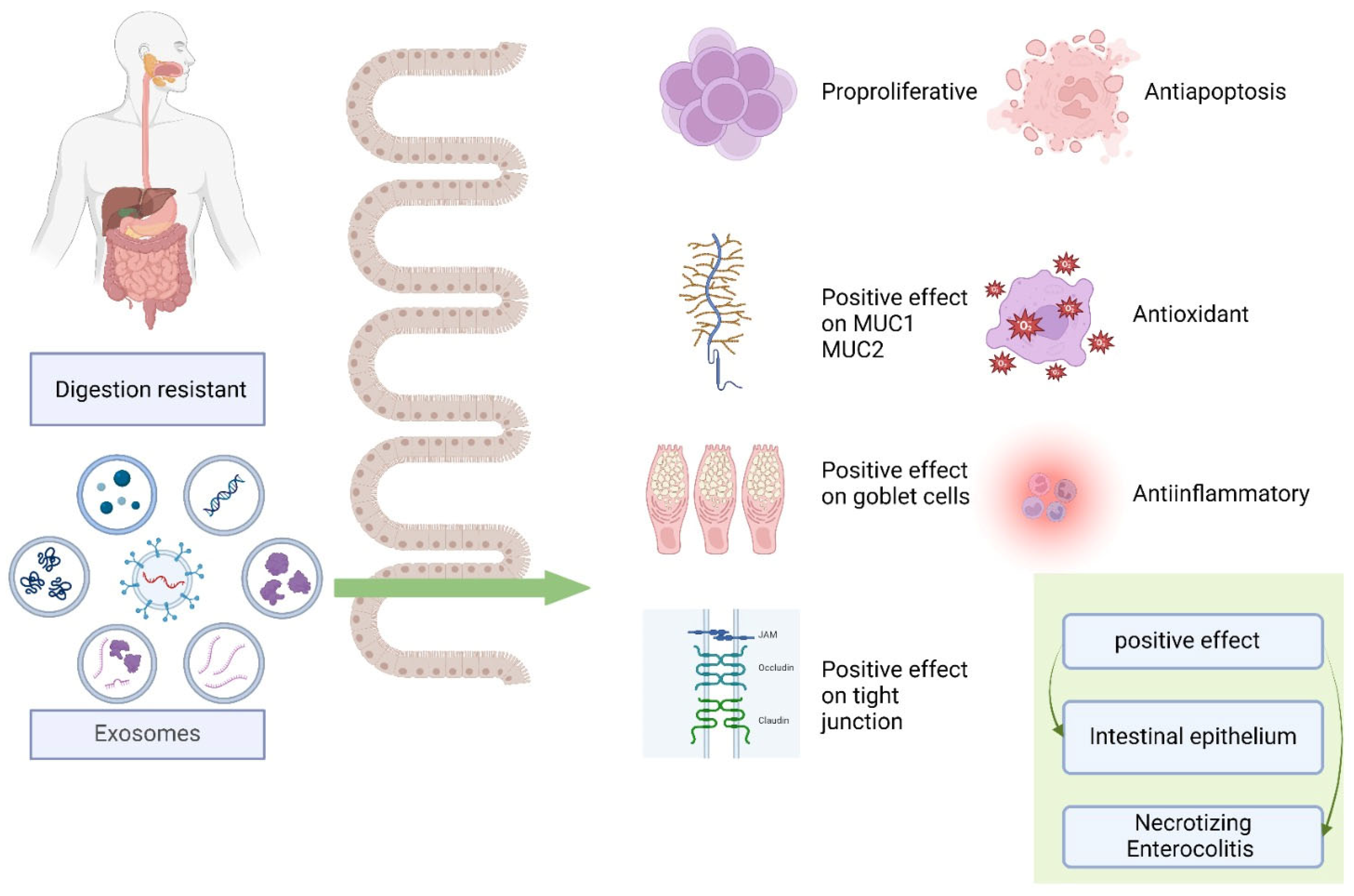 Nutrients 16 03519 g005