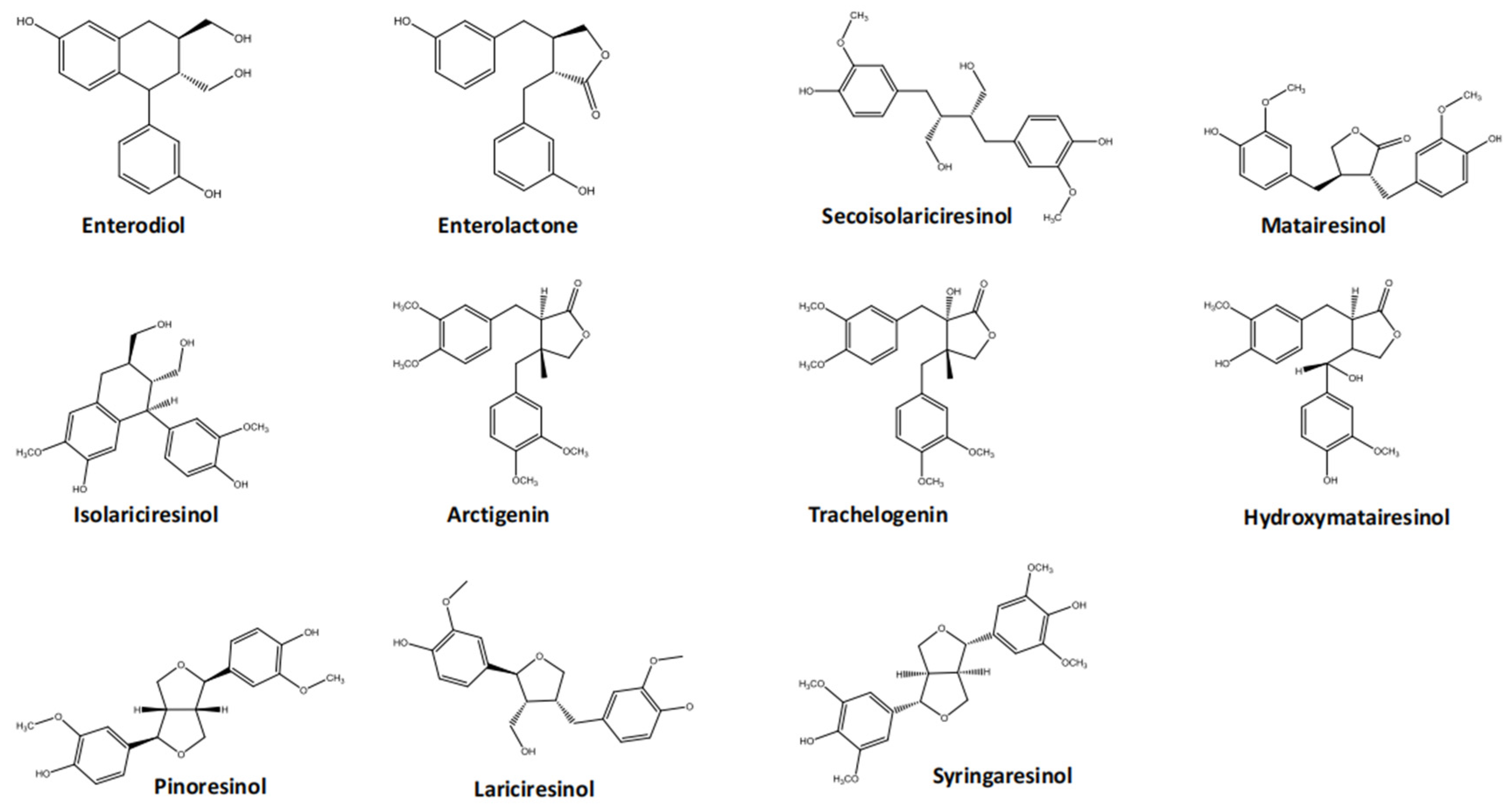 Nutrients 16 03520 g001