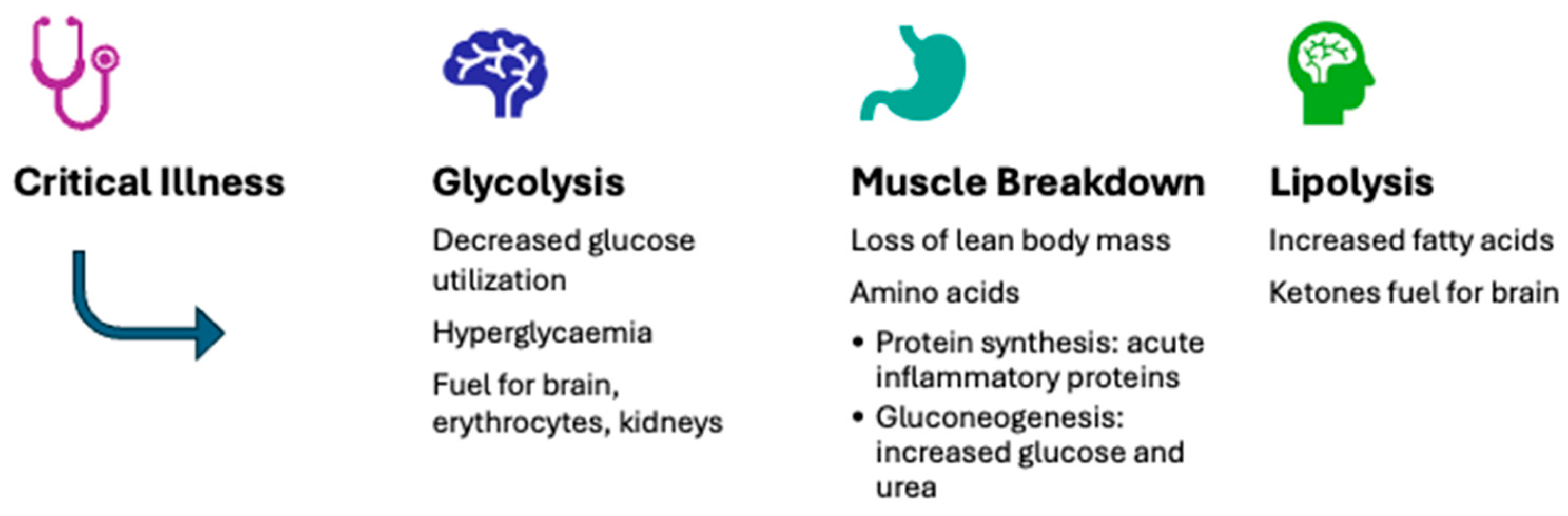 Nutrients 16 03523 g001
