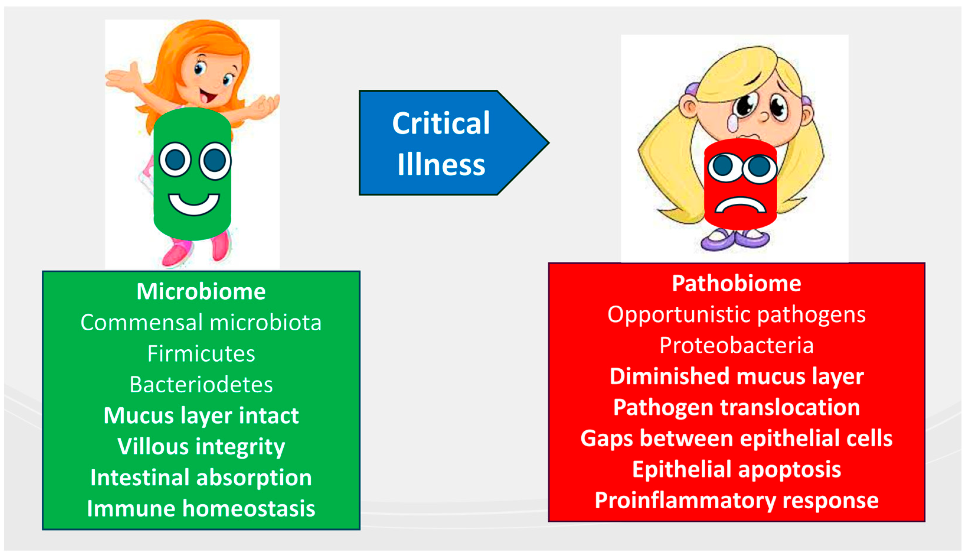 Nutrients 16 03523 g003