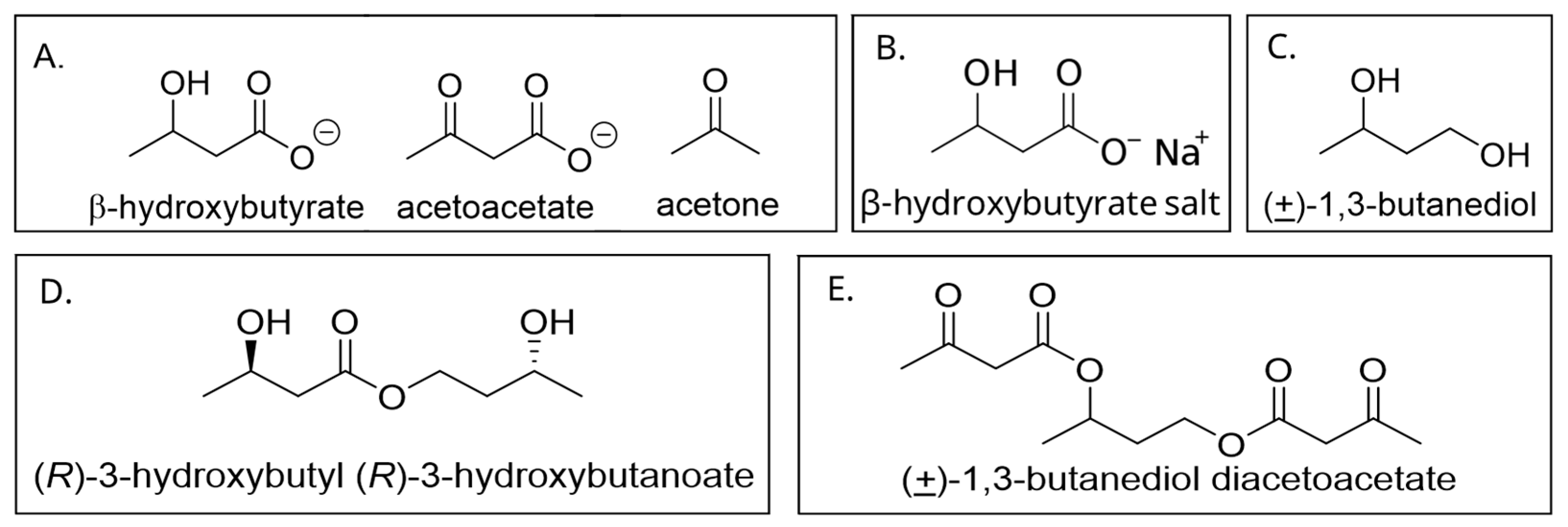Nutrients 16 03526 g001 Nutrients 16 03526 g001