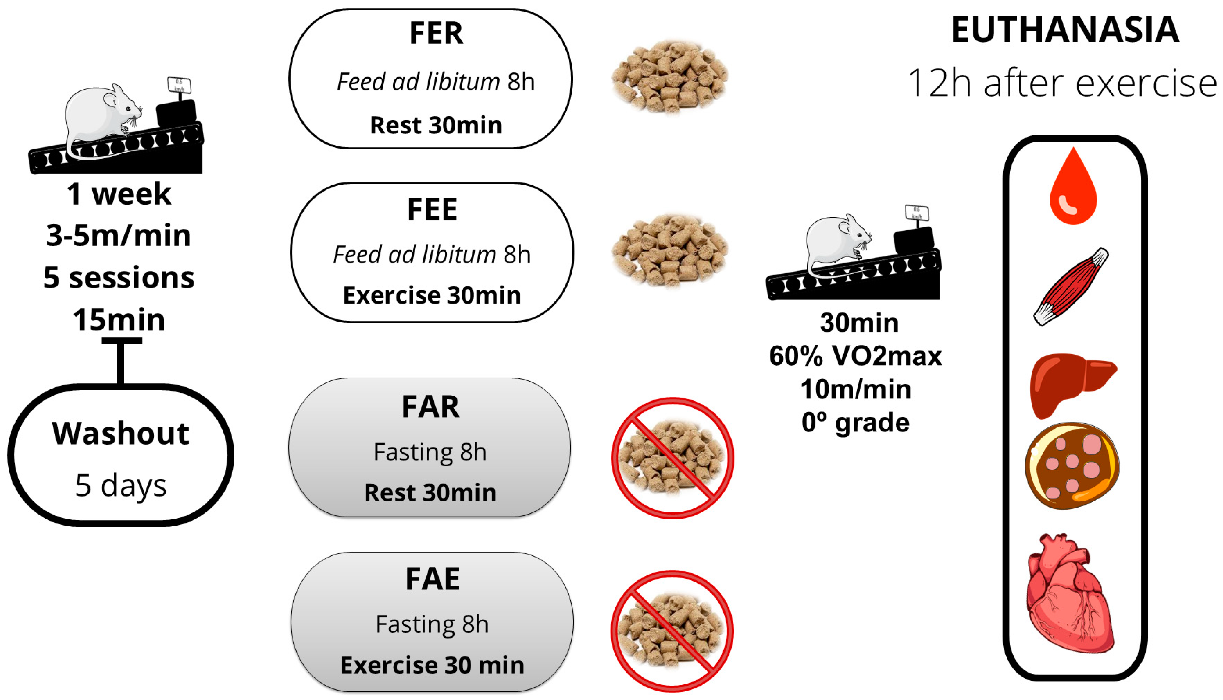 Nutrients 16 03529 g001