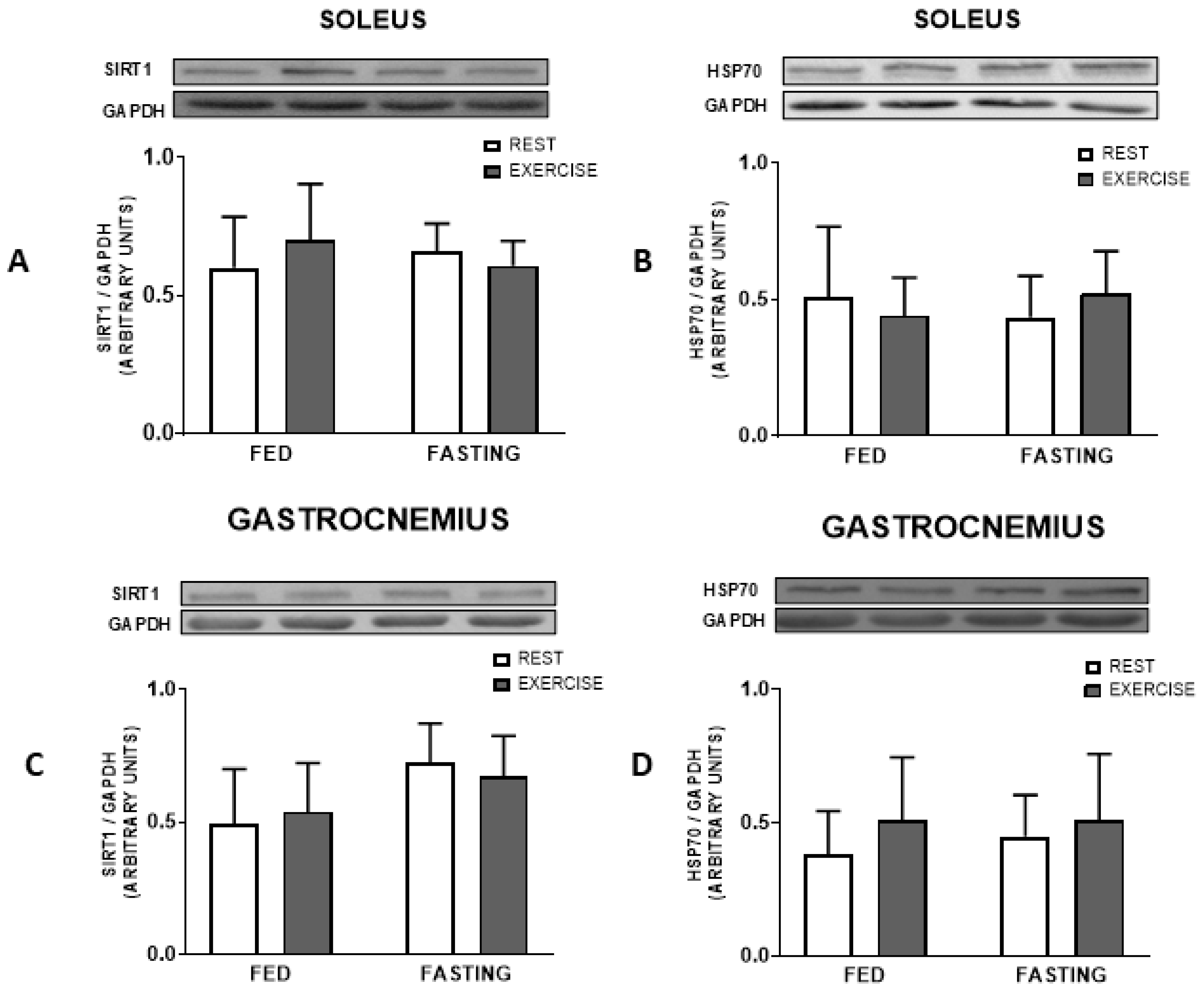 Nutrients 16 03529 g005