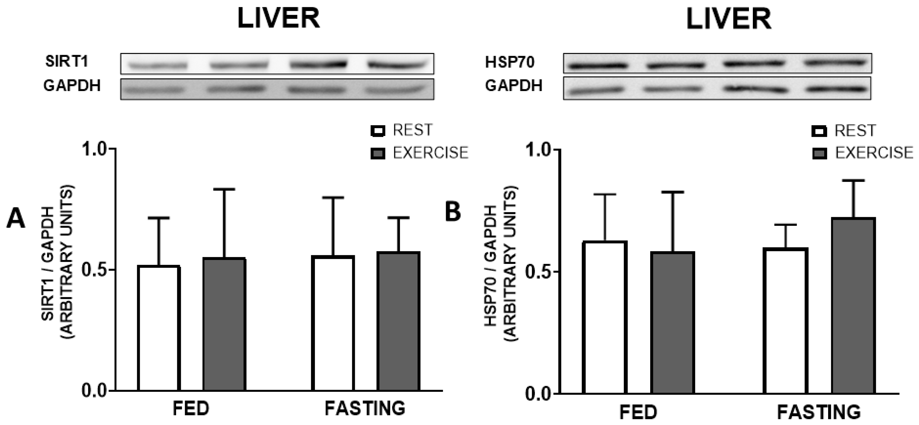 Nutrients 16 03529 g006