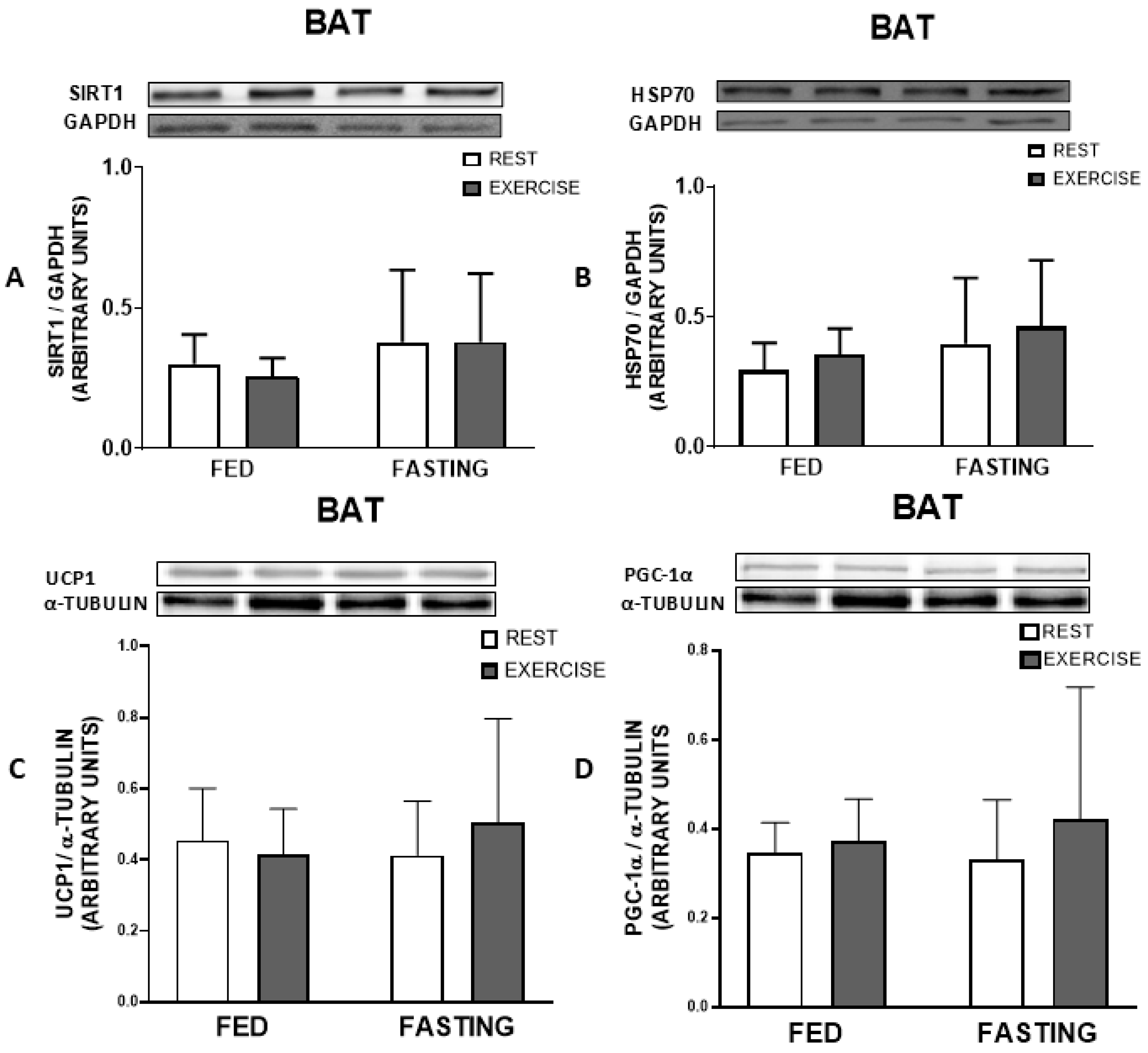 Nutrients 16 03529 g007