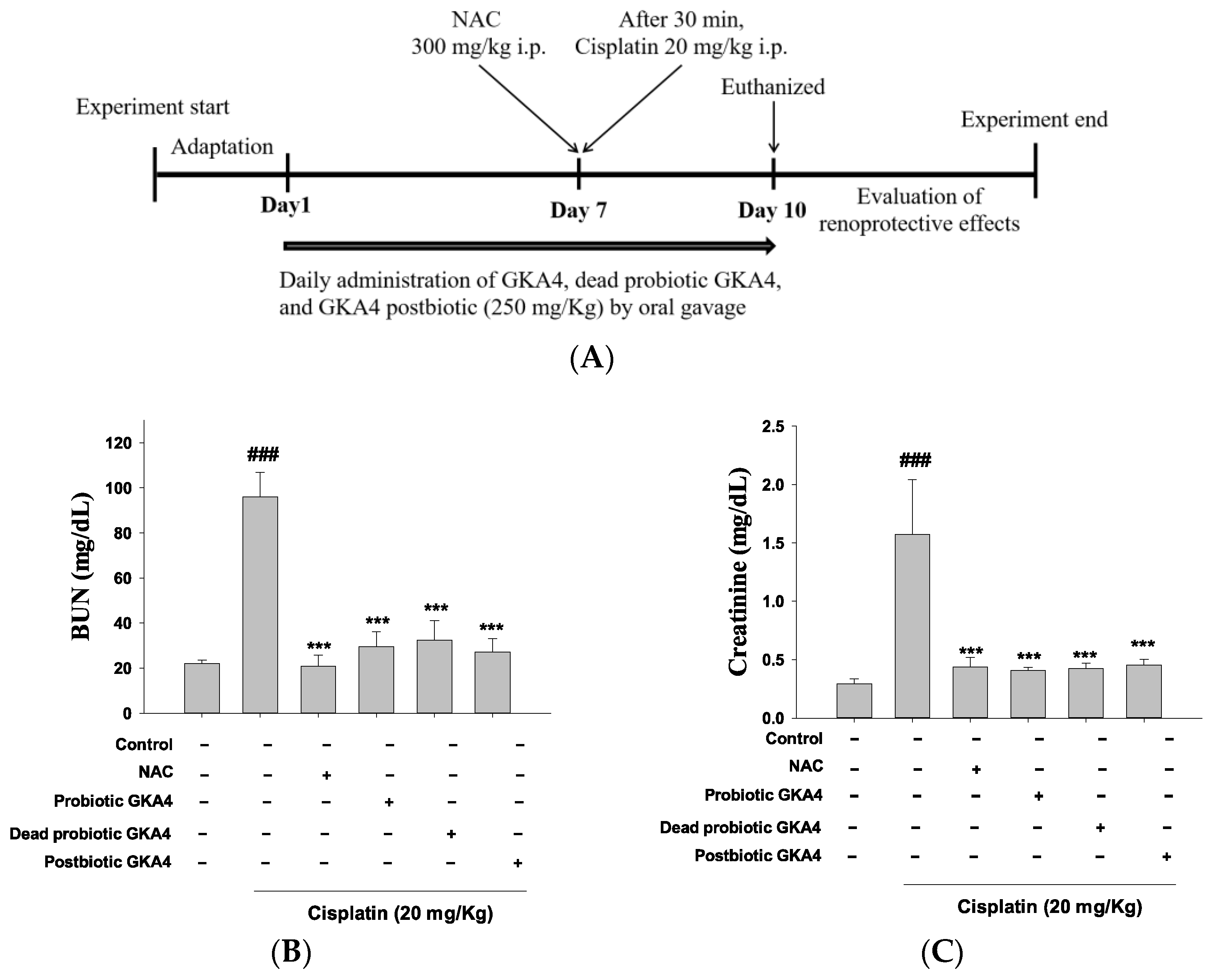 Nutrients 16 03532 g001a