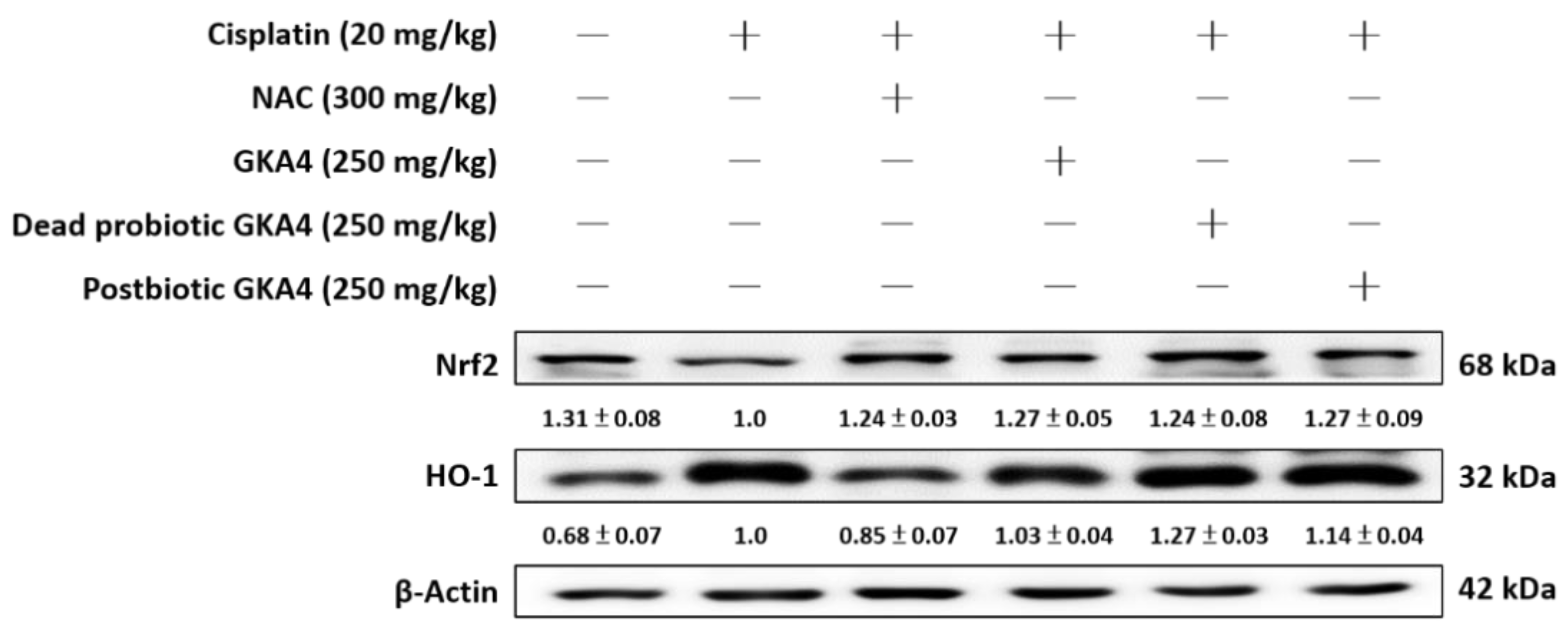 Nutrients 16 03532 g003