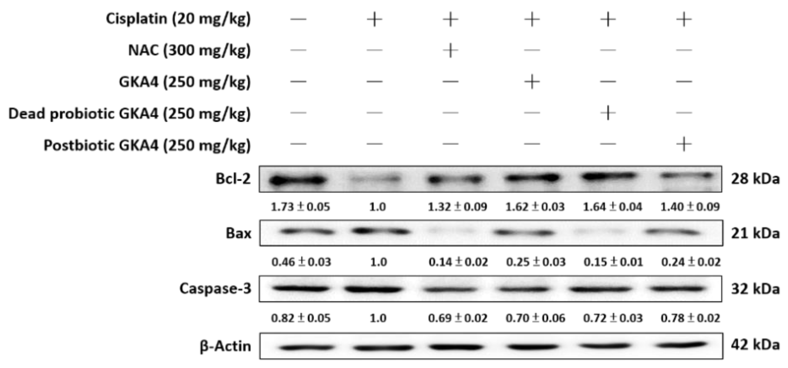 Nutrients 16 03532 g004