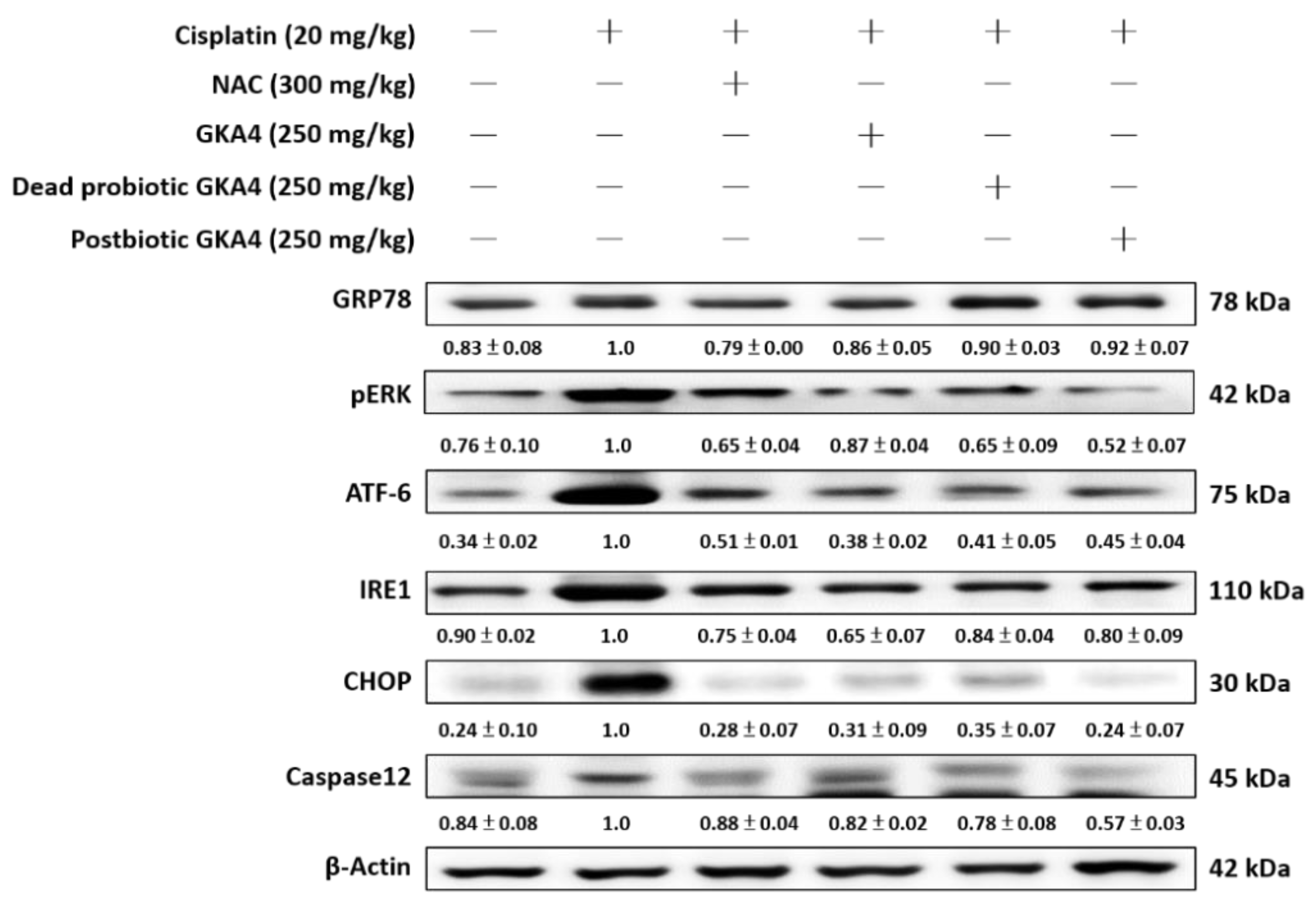 Nutrients 16 03532 g006
