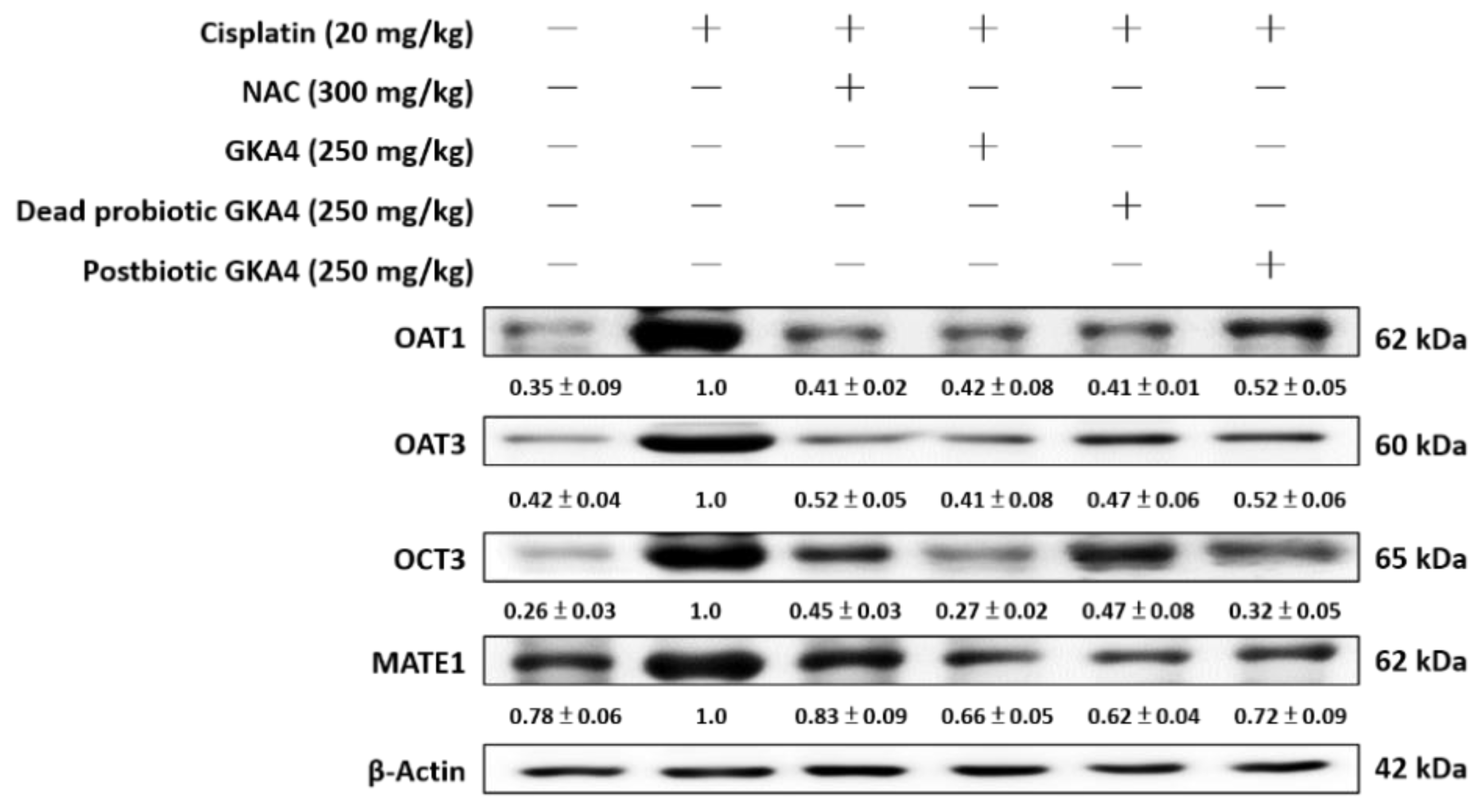 Nutrients 16 03532 g007
