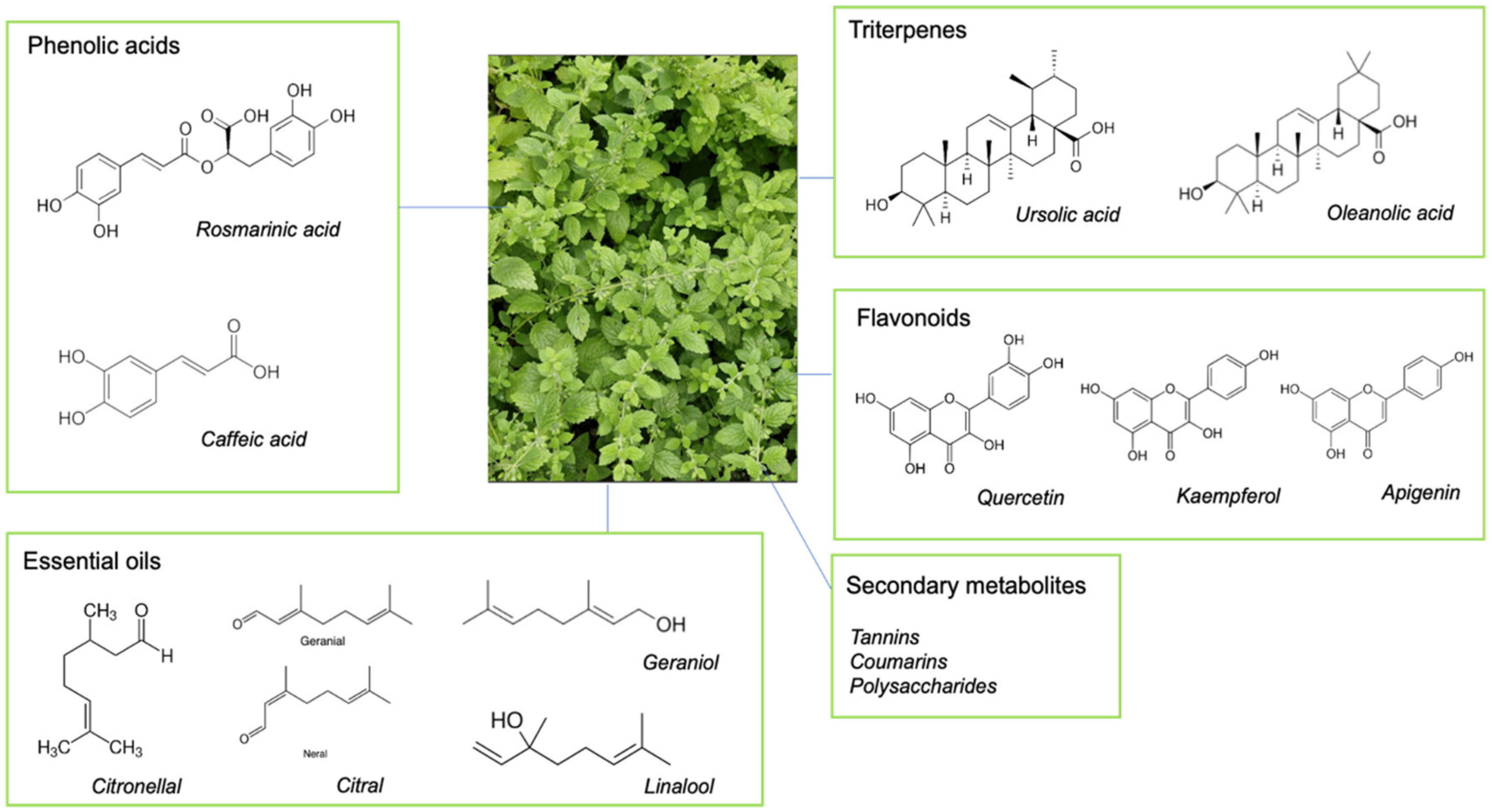 Nutrients 16 03545 g001 Nutrients 16 03545 g001