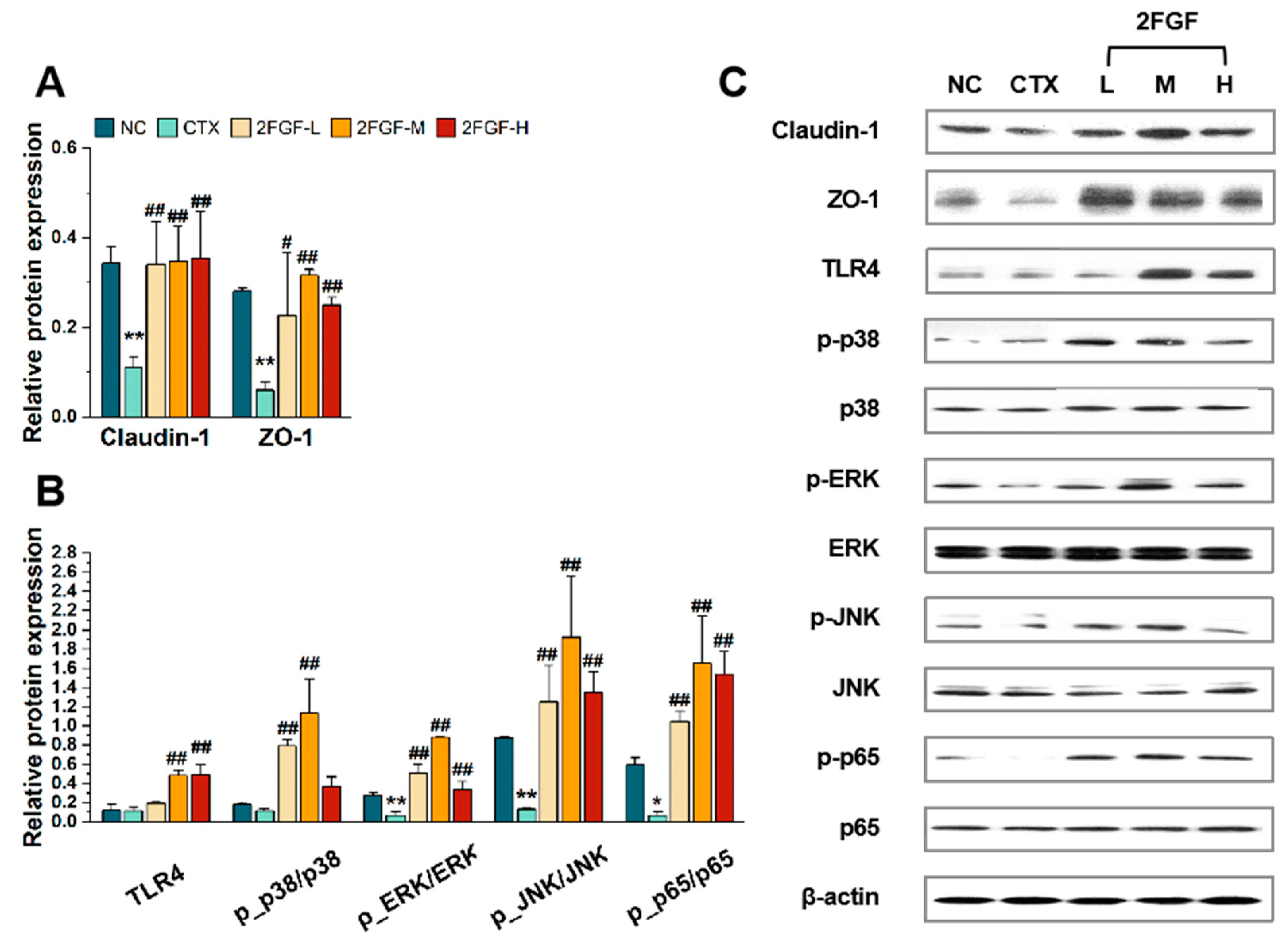 Nutrients 16 03552 g002