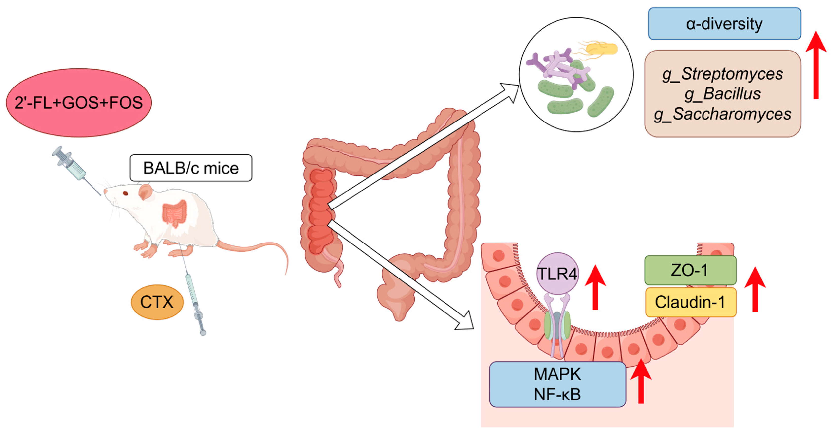 Nutrients 16 03552 g005