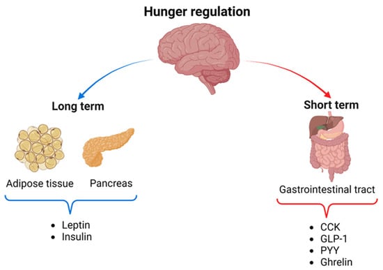 Nutrients 16 03560 g001