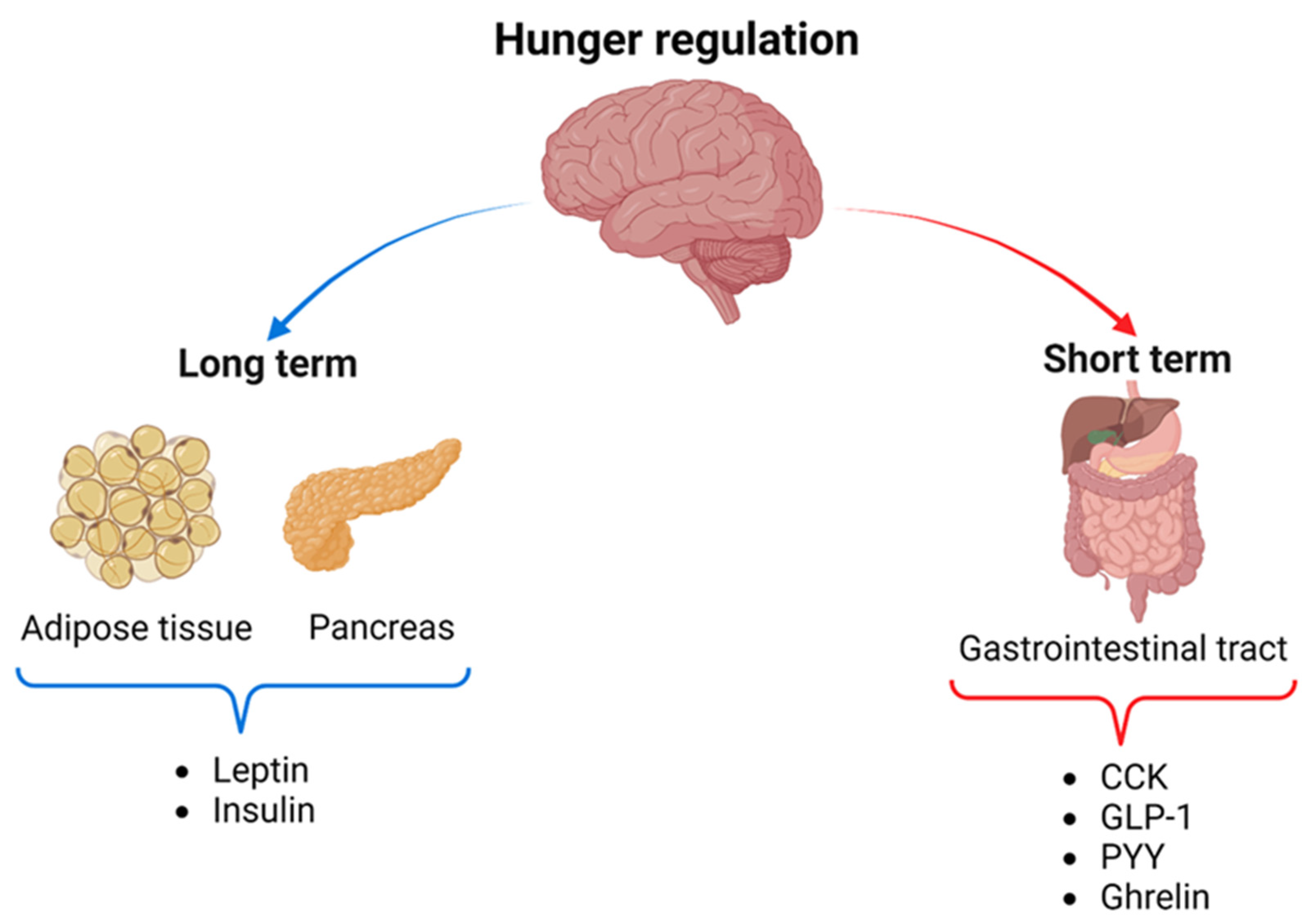 Nutrients 16 03560 g001