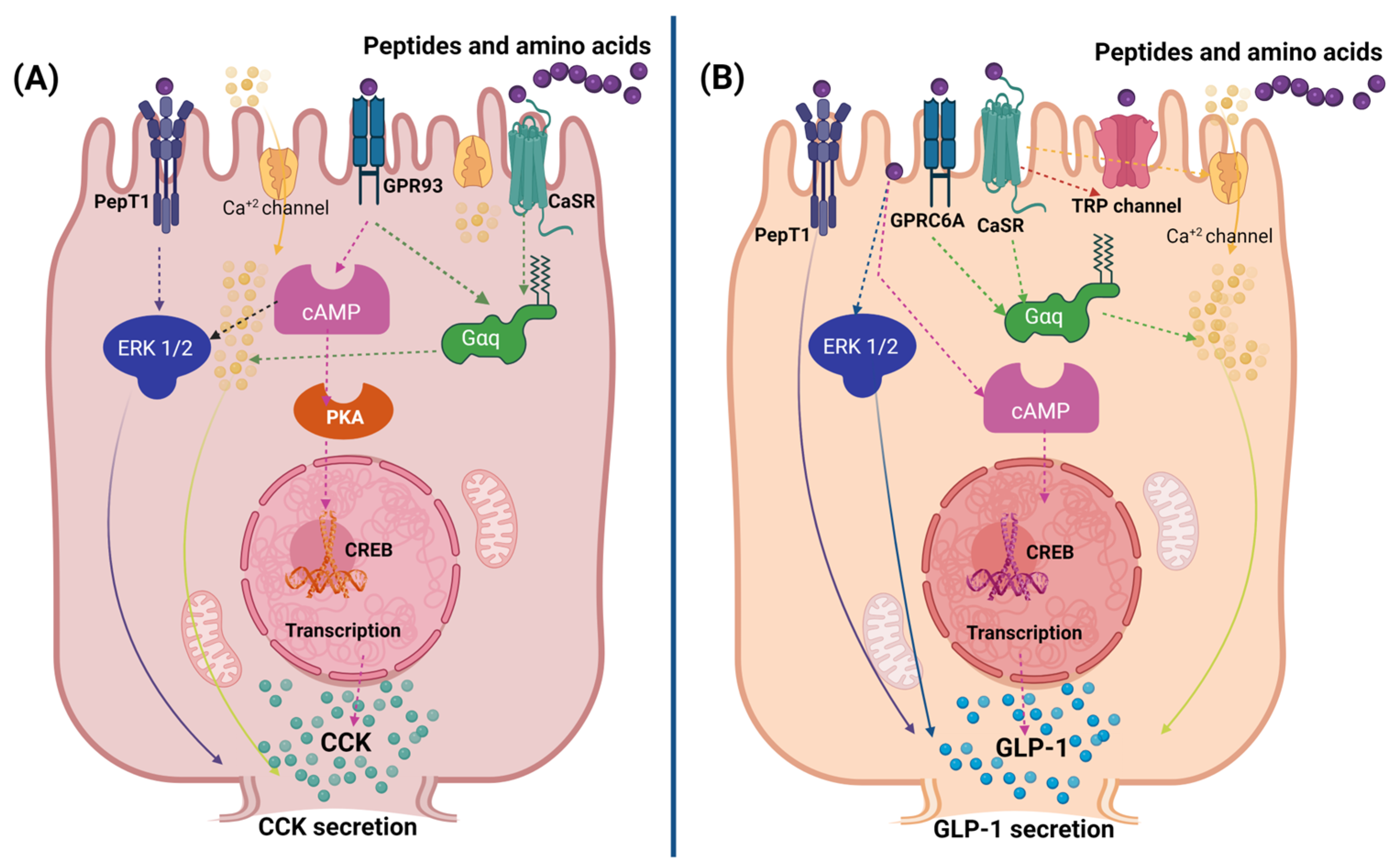 Nutrients 16 03560 g003