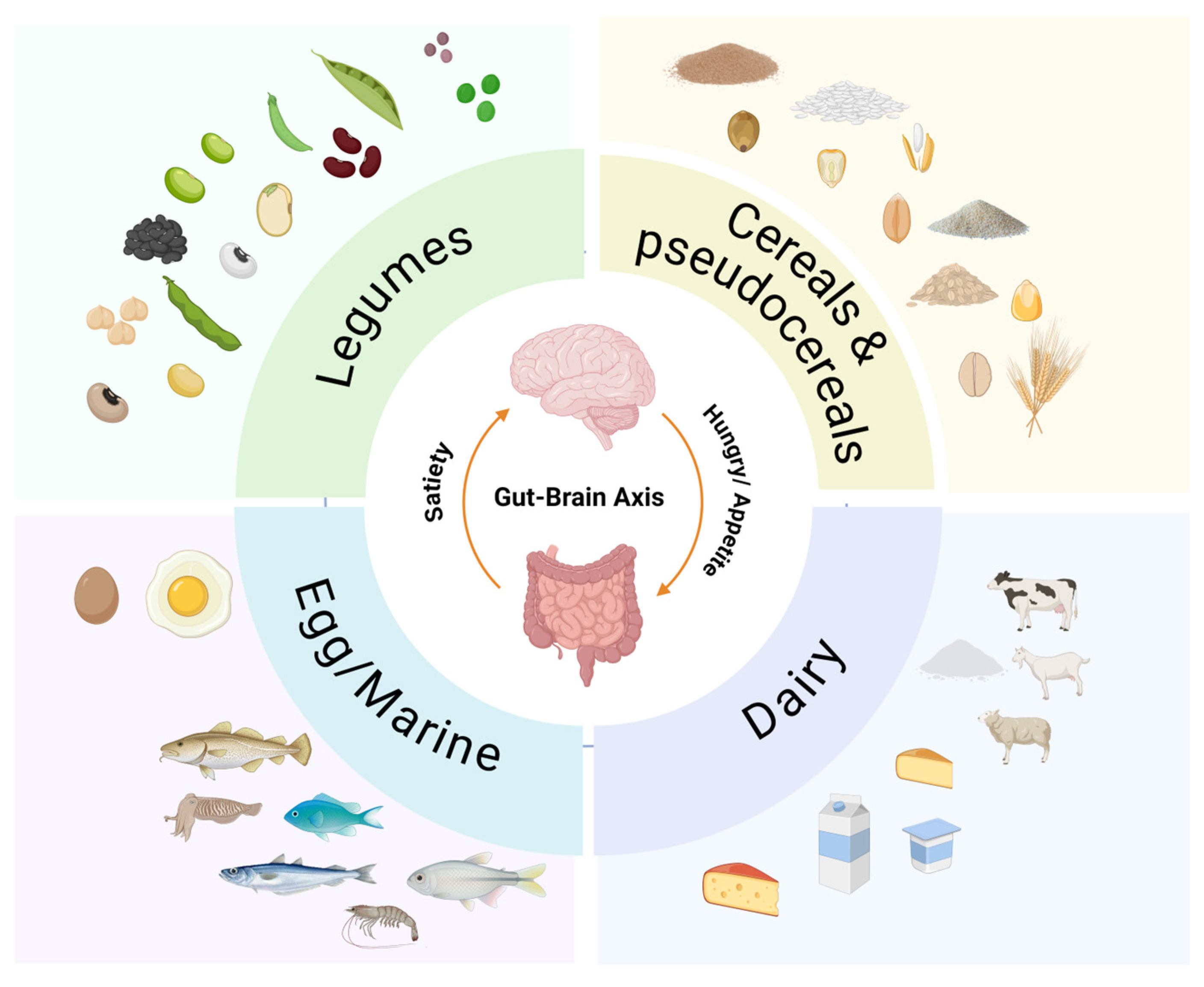 Nutrients 16 03560 g004